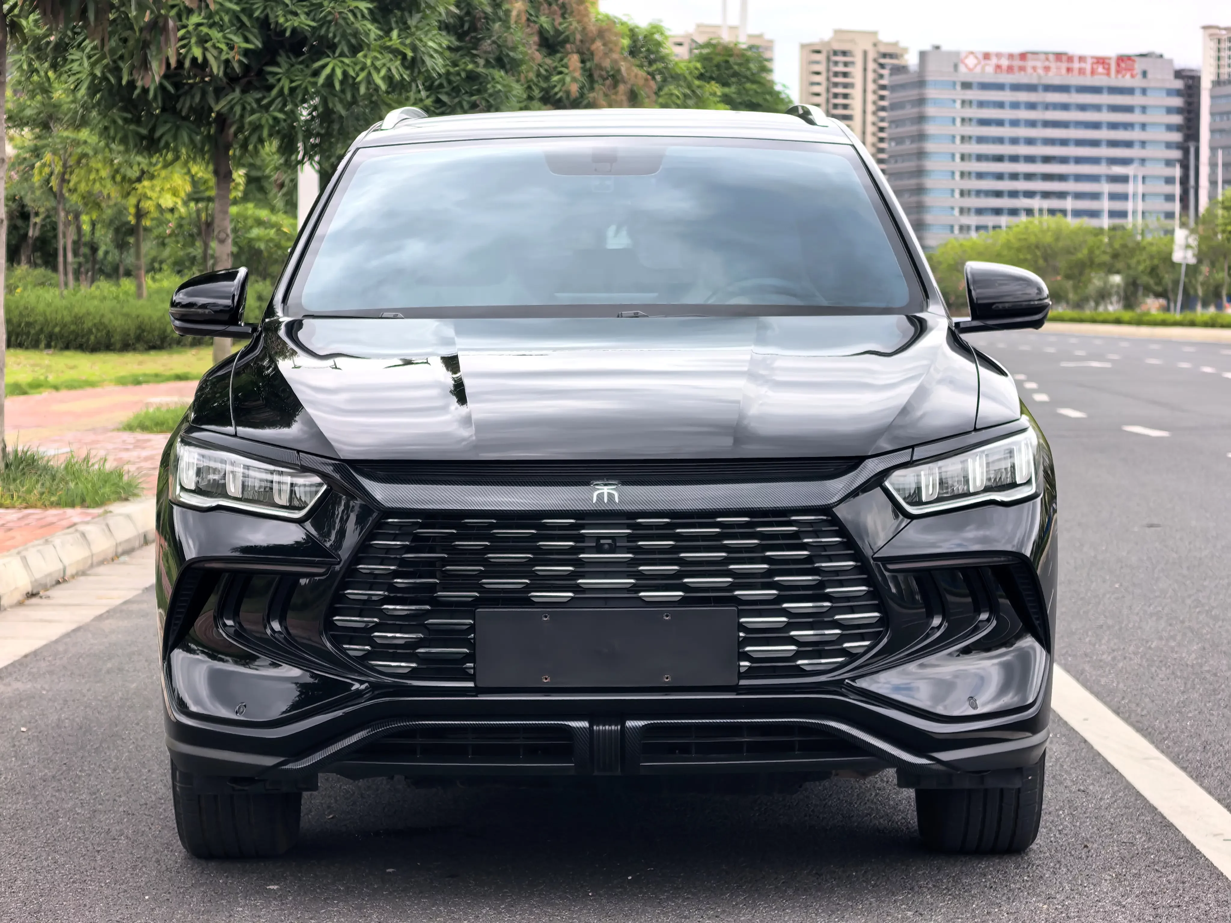 BYD Song Pro DM