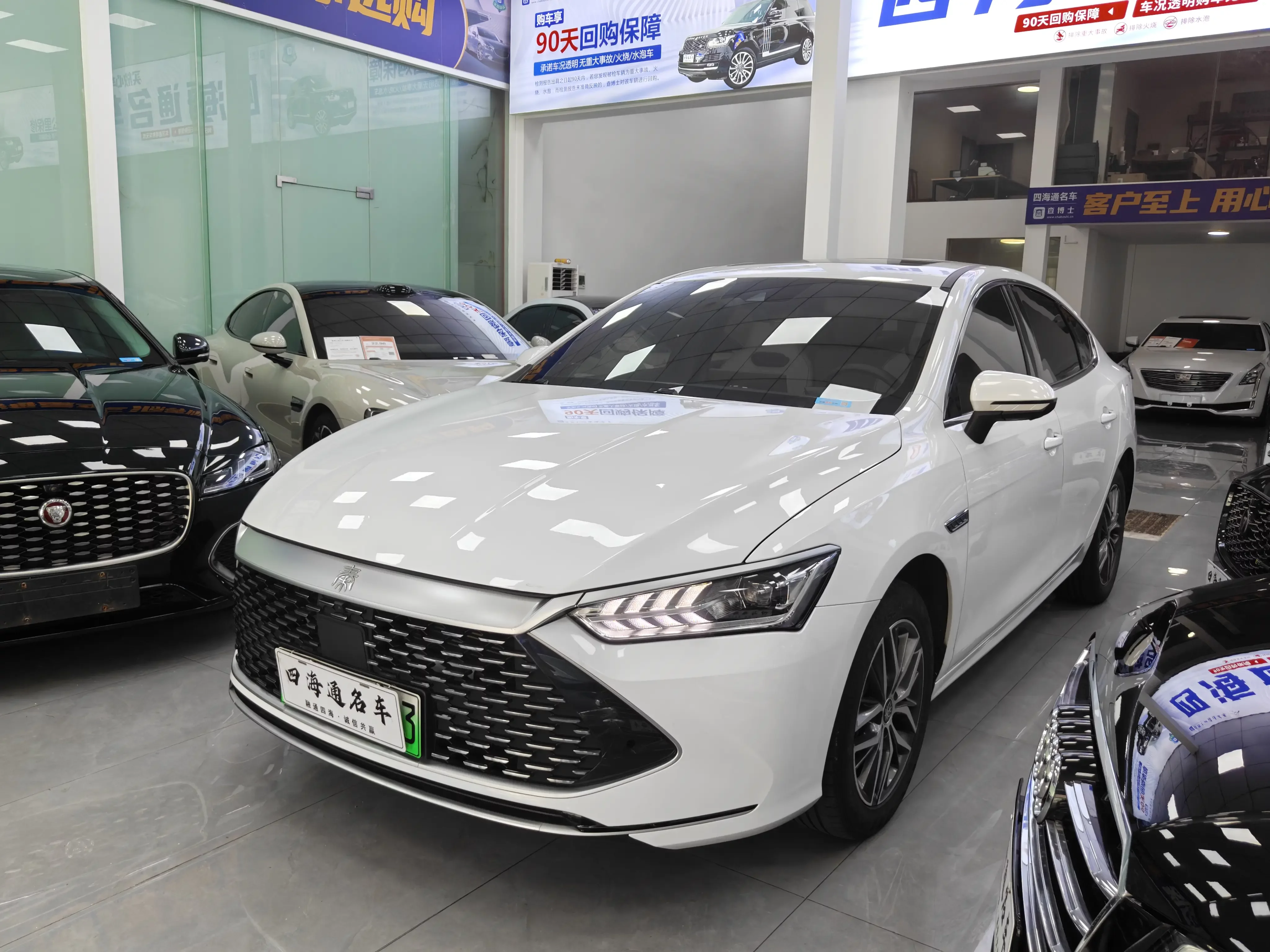 BYD Qin PLUS DM