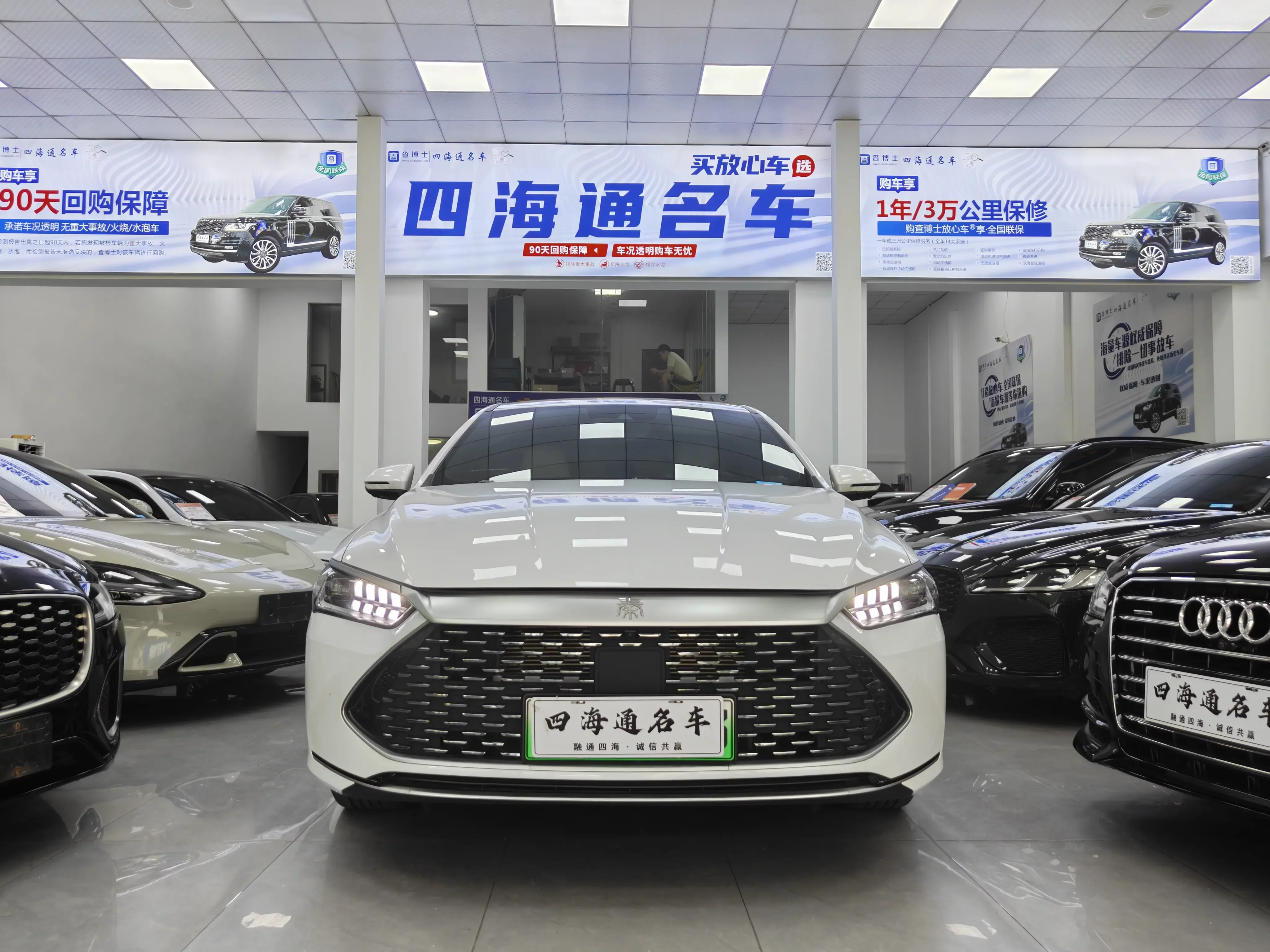 BYD Qin PLUS DM