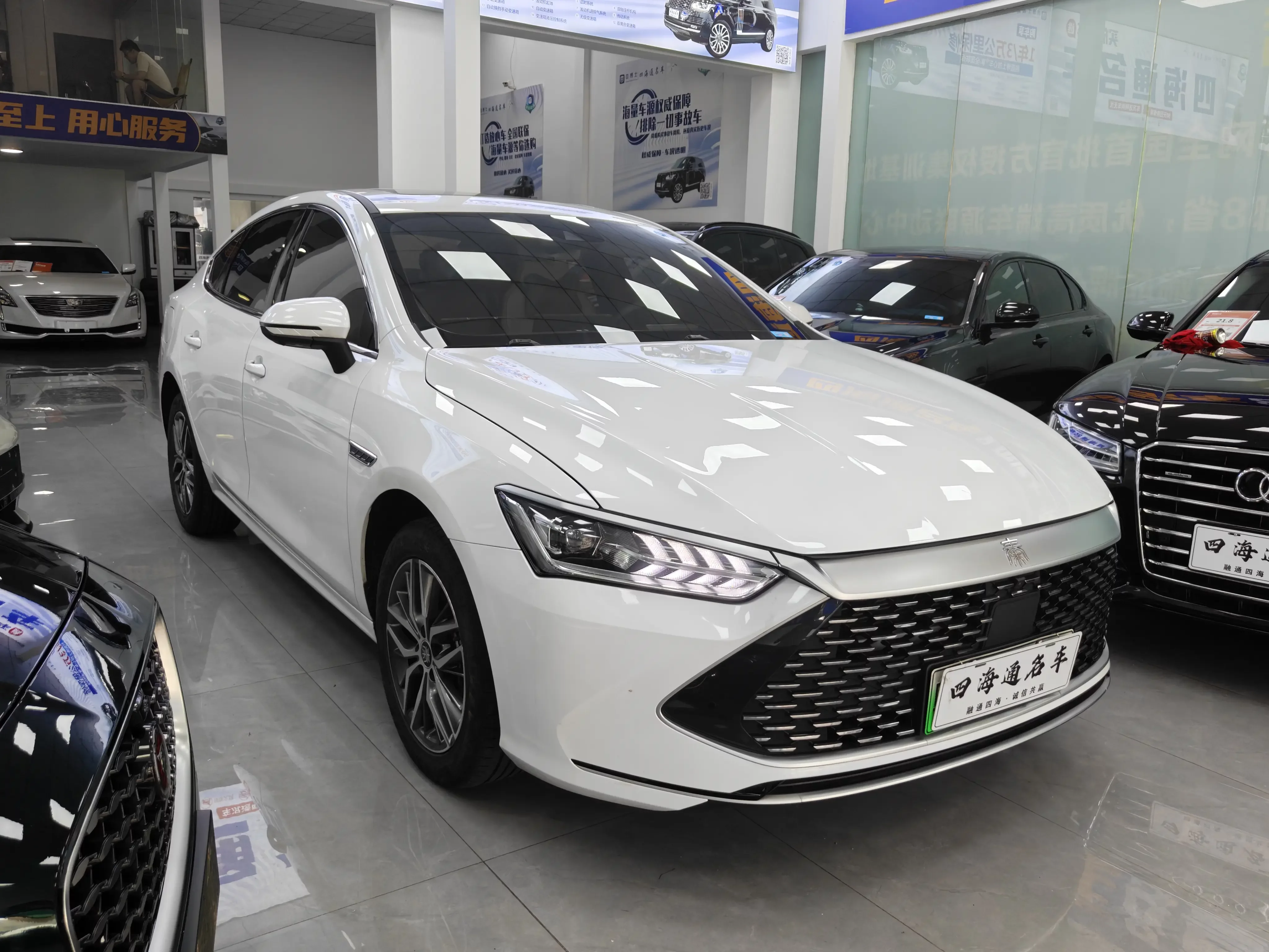 BYD Qin PLUS DM