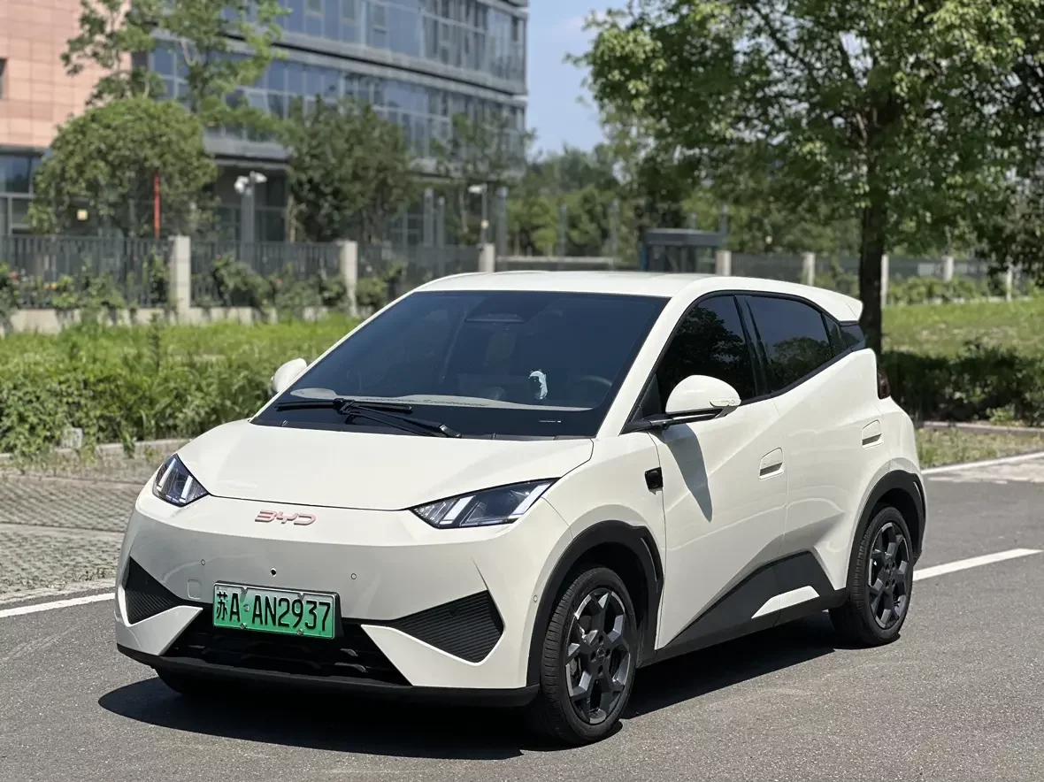 BYD seagull