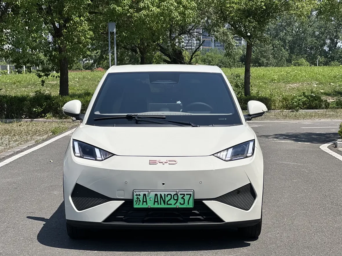 BYD seagull