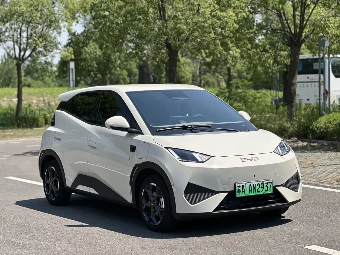 BYD seagull