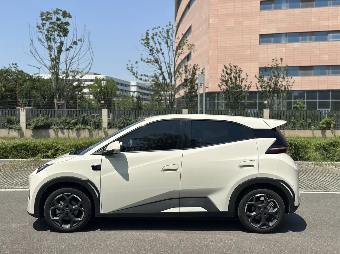 BYD seagull