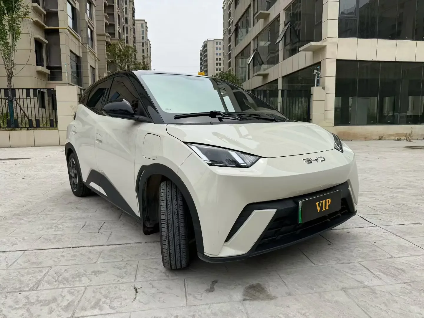 BYD seagull