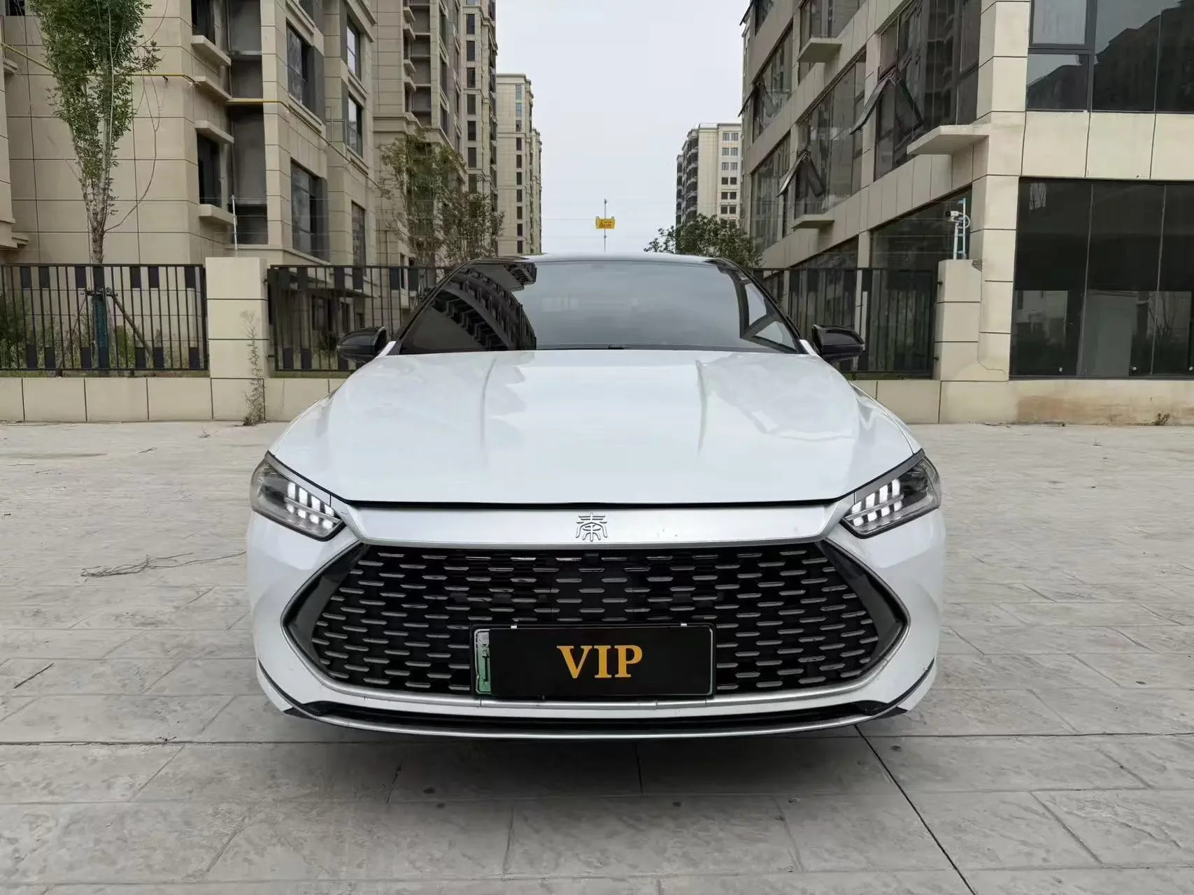 BYD Qin PLUS DM
