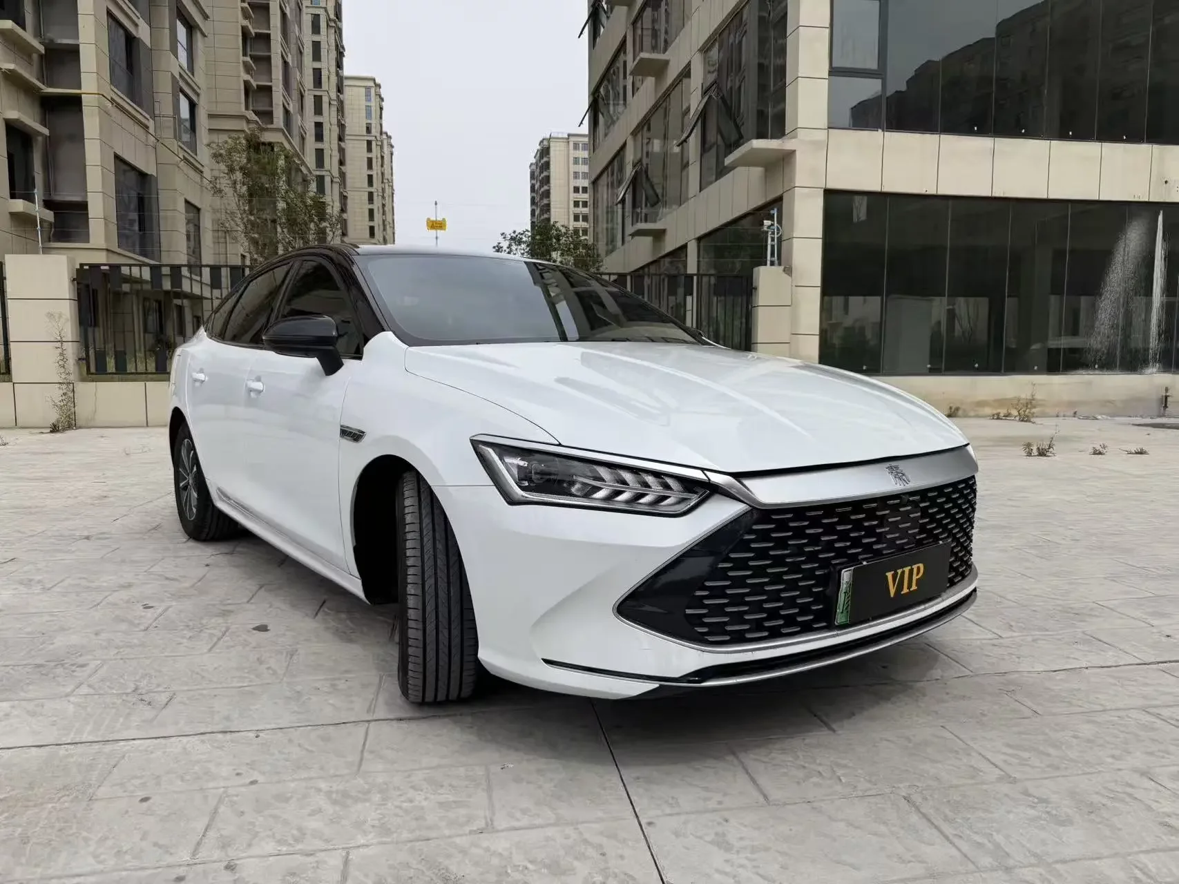BYD Qin PLUS DM