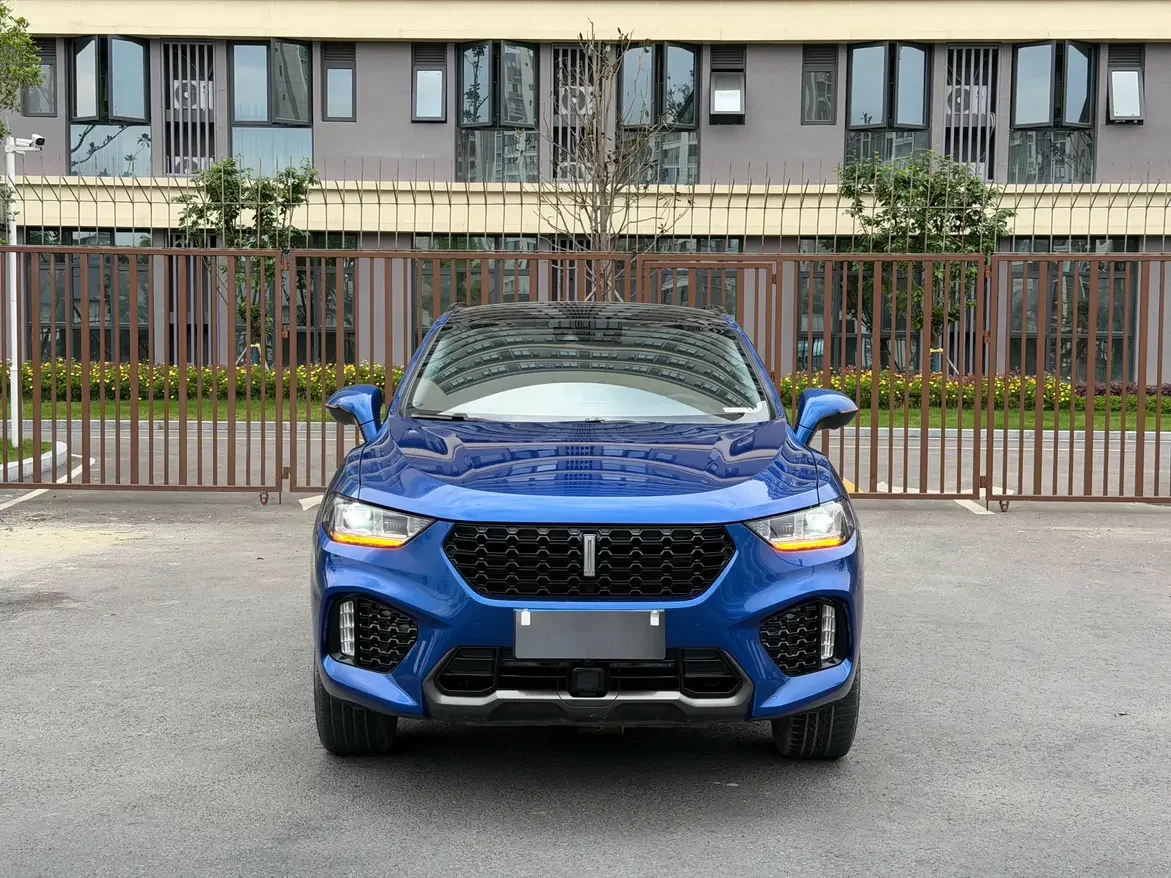 Wey Wei brand VV5