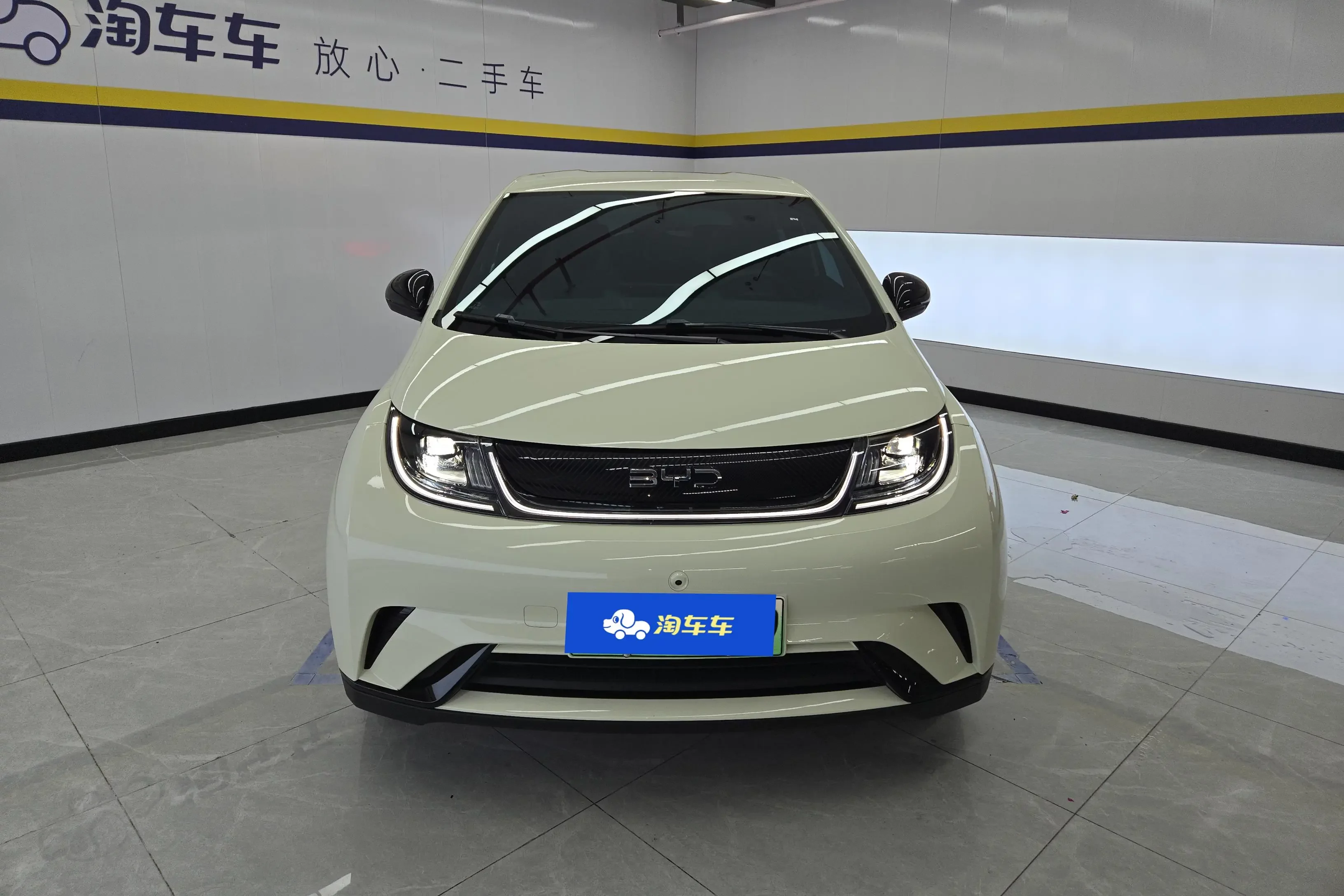 BYD dolphin