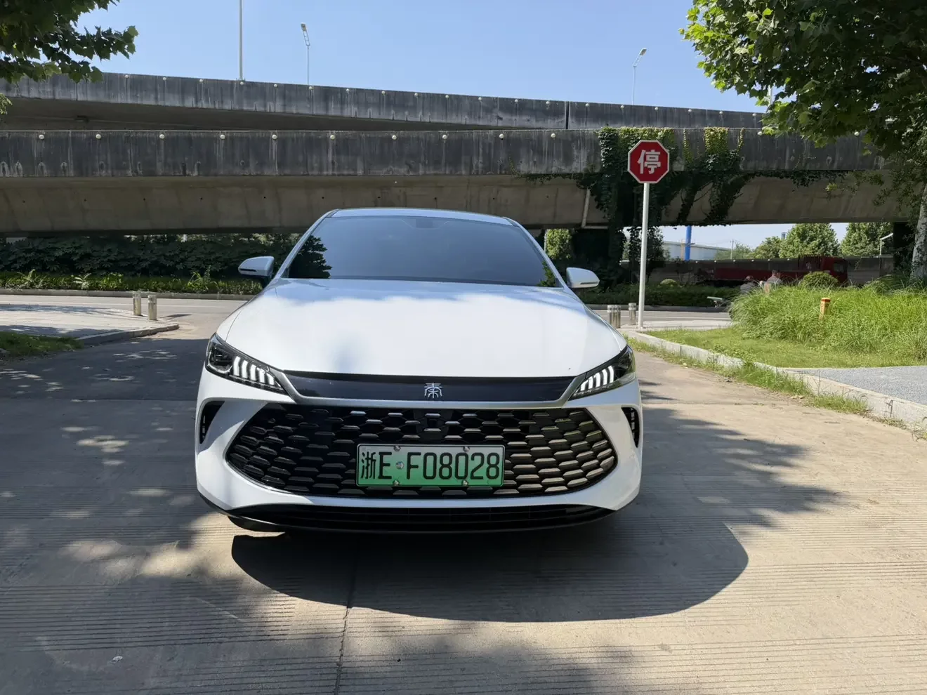 BYD Qin PLUS DM