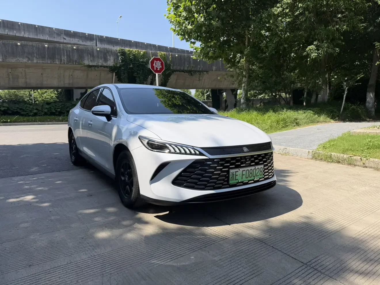 BYD Qin PLUS DM