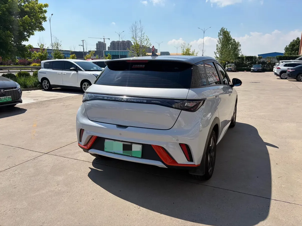 BYD dolphin