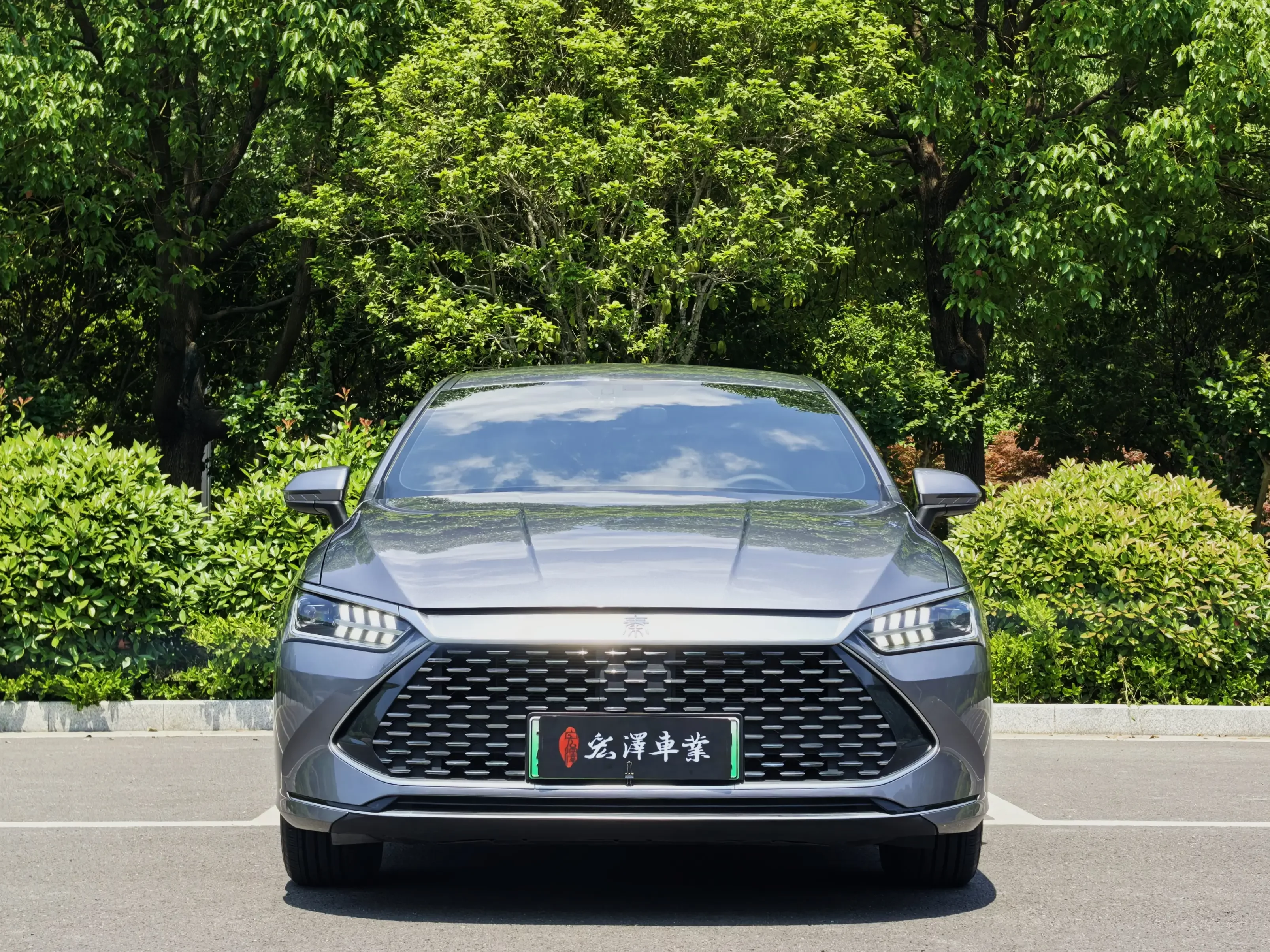 BYD Qin PLUS DM