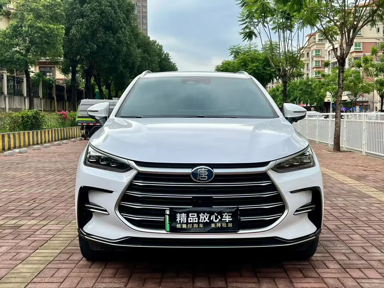 BYD Tang DM