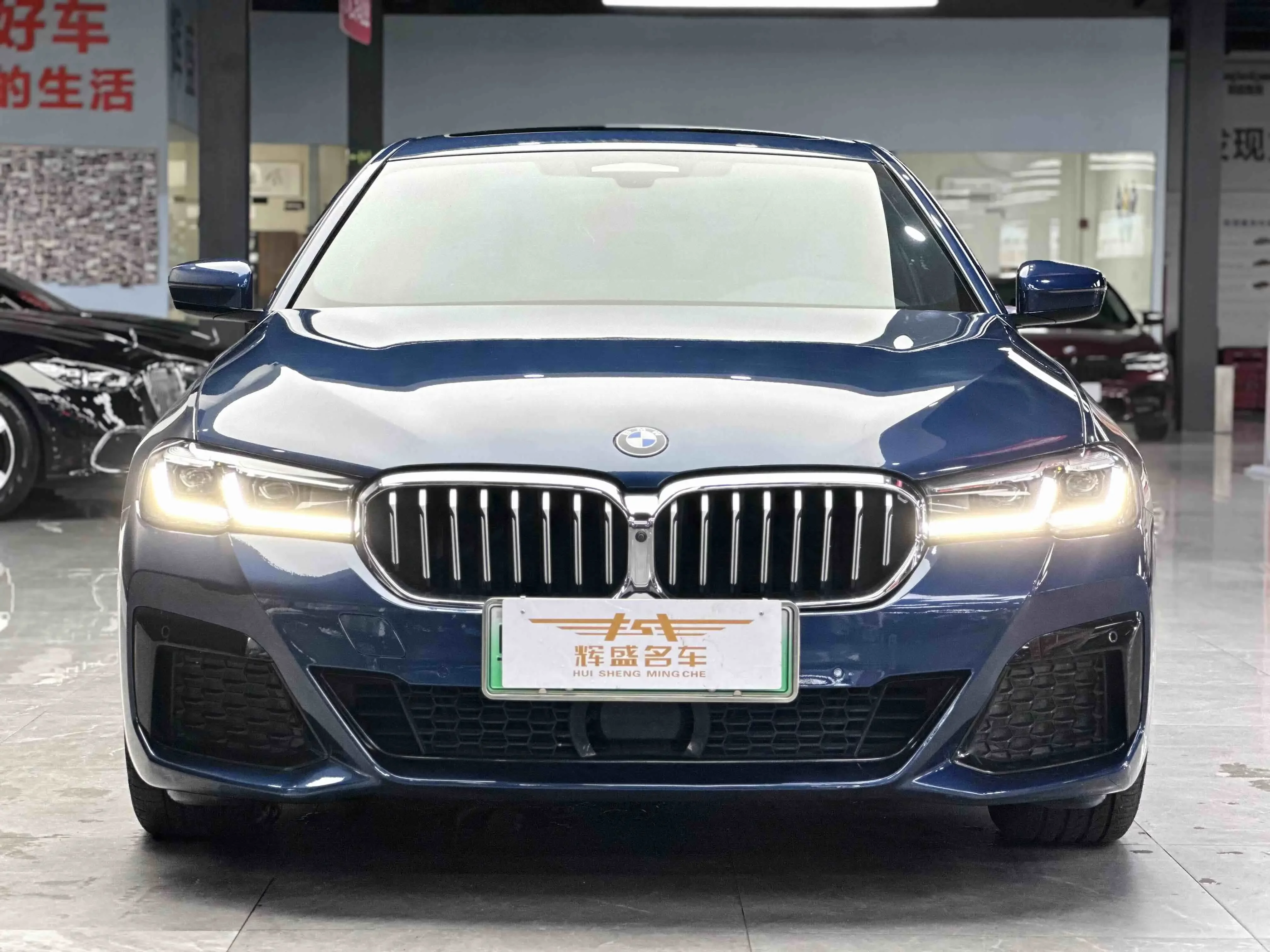 BMW 5 Series PHEV