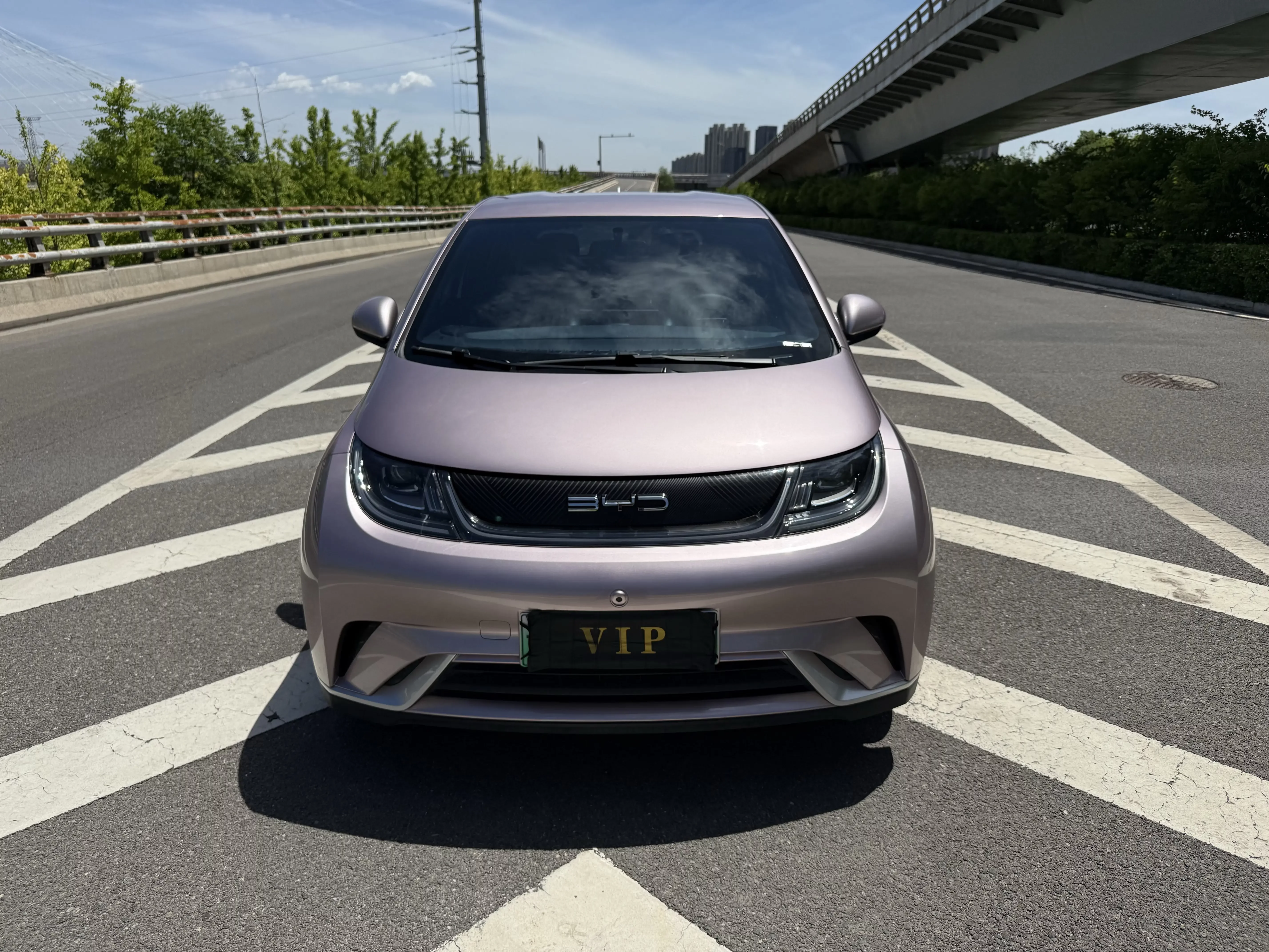 BYD dolphin