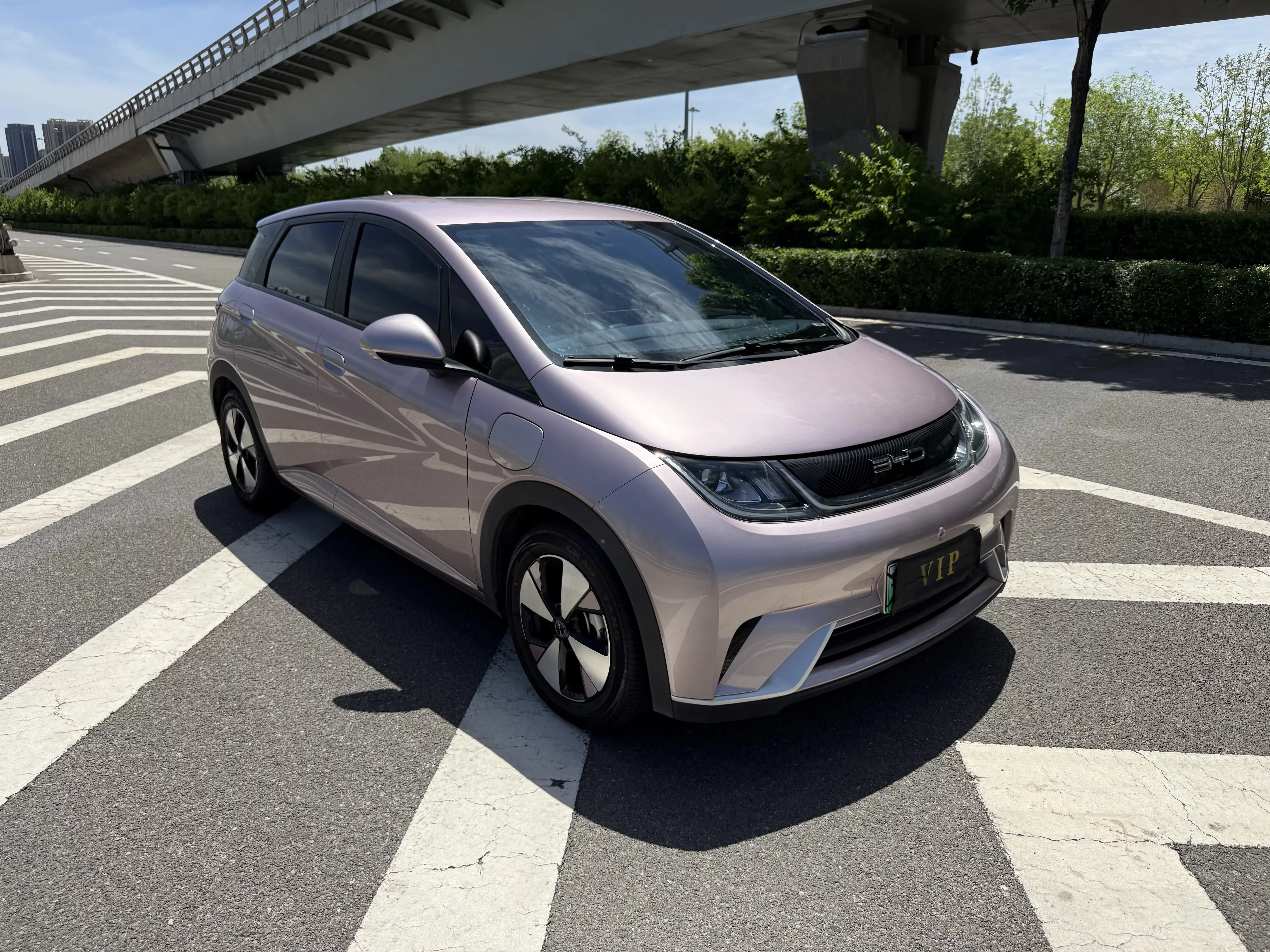 BYD dolphin