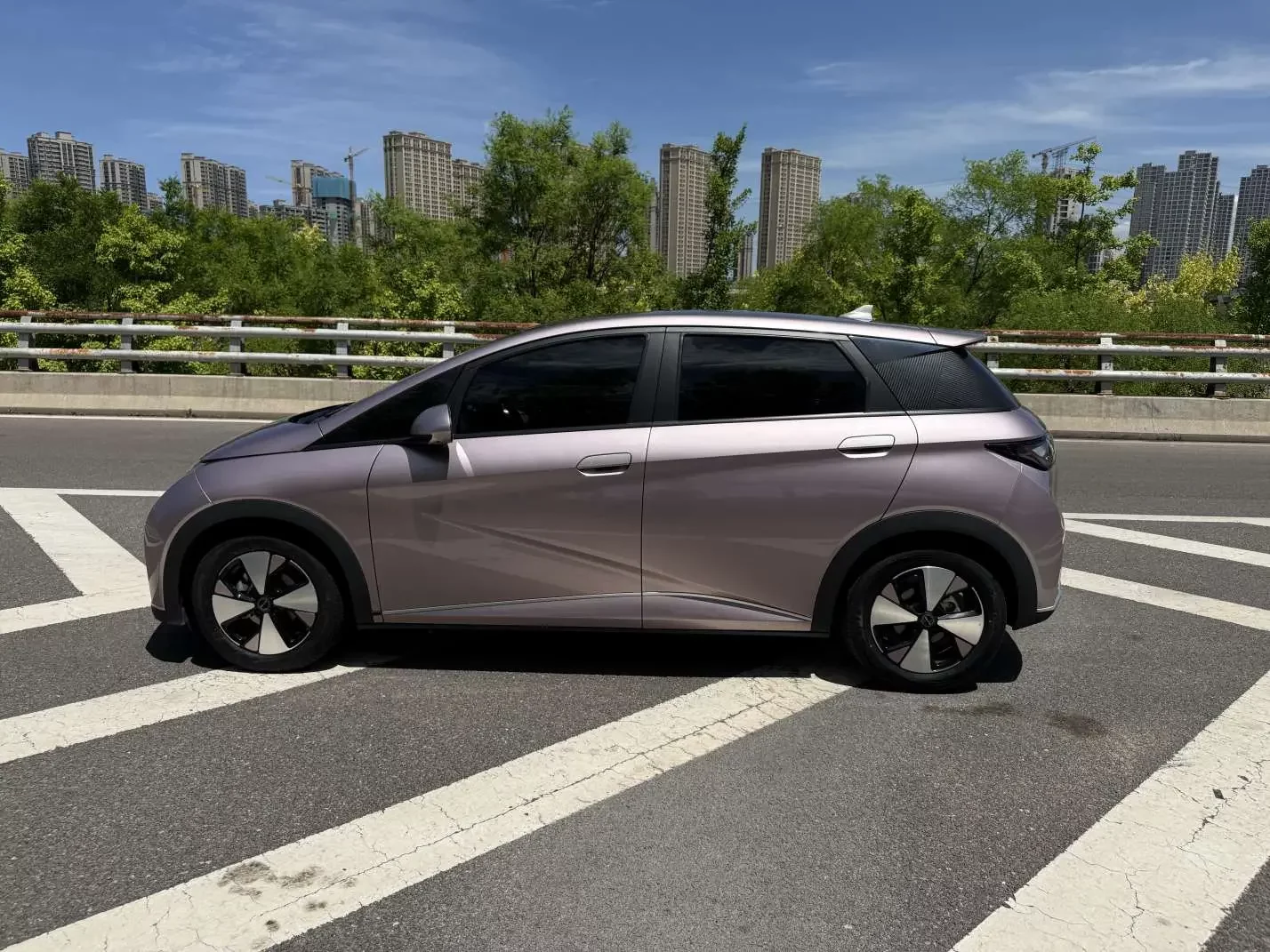 BYD dolphin