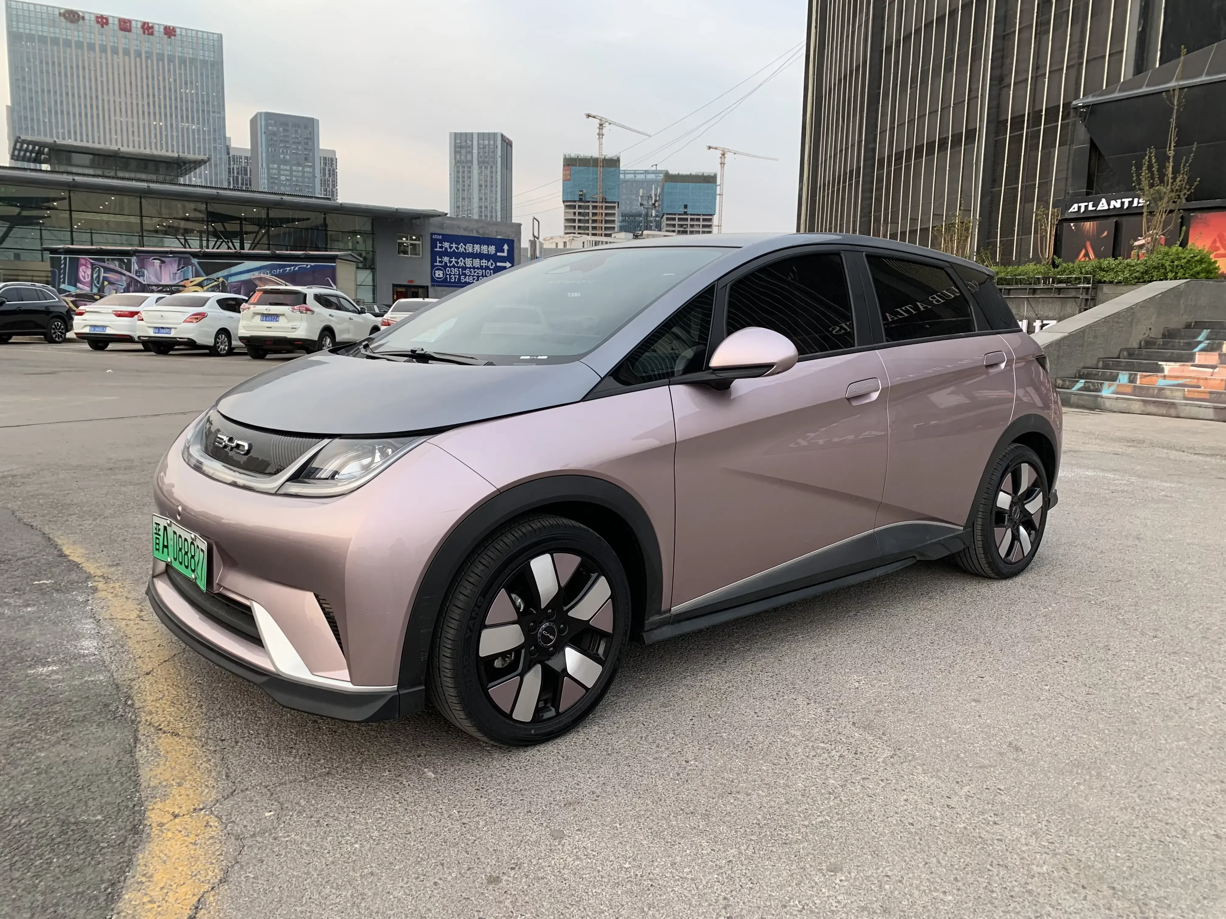BYD dolphin
