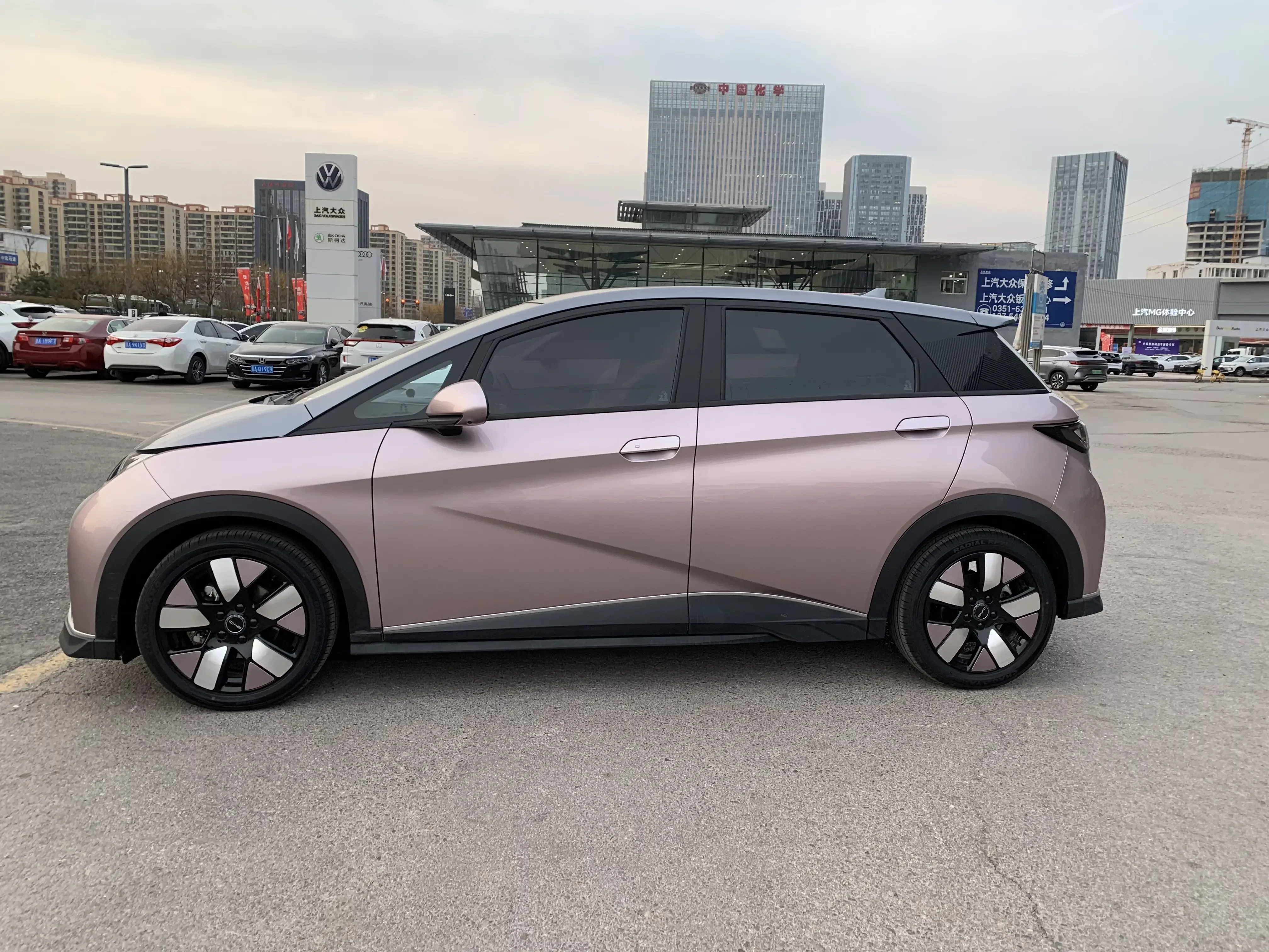 BYD dolphin