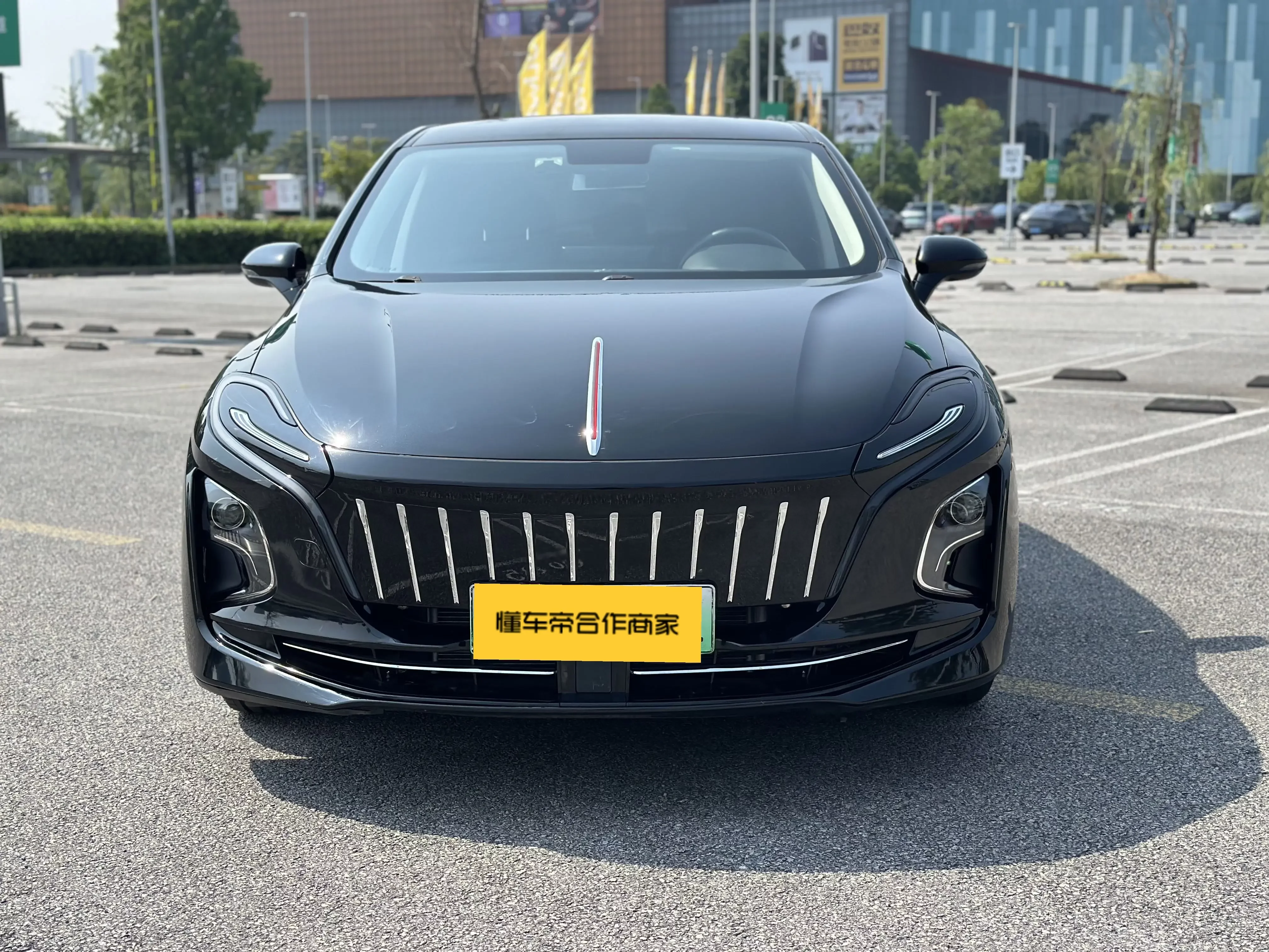 Hongqi E-QM5
