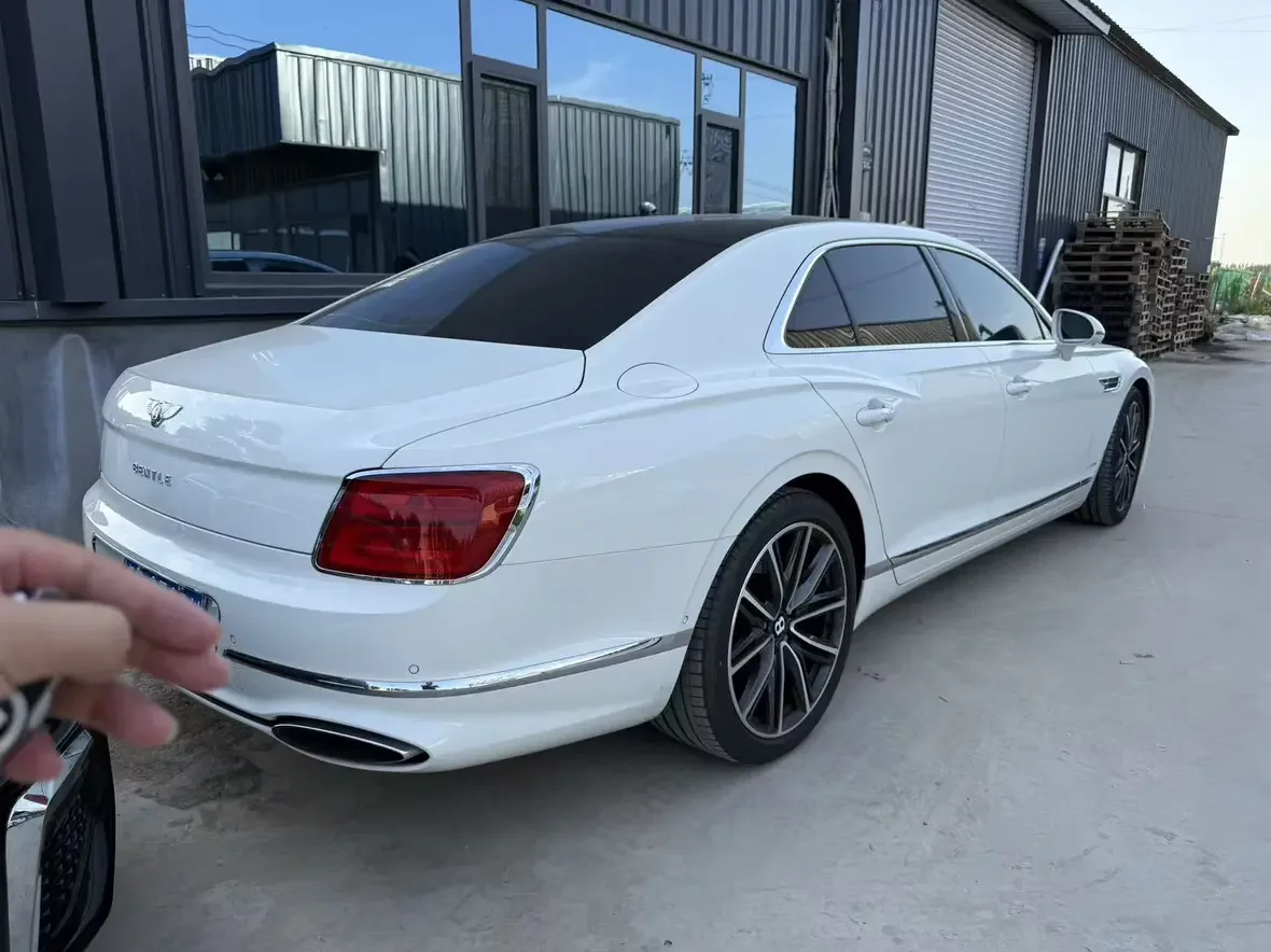 Bentley galloping