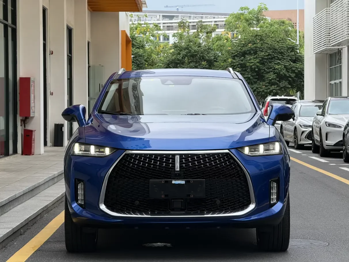 Wey Wei brand P8