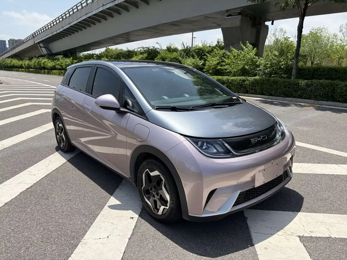 BYD dolphin