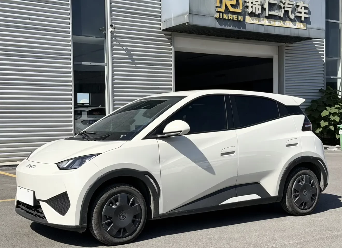 BYD seagull