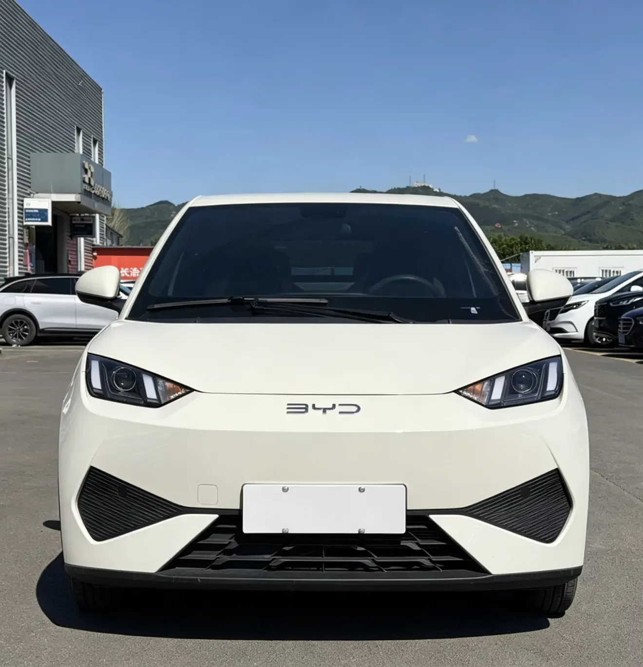 BYD seagull