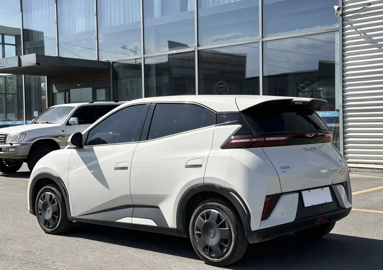 BYD seagull