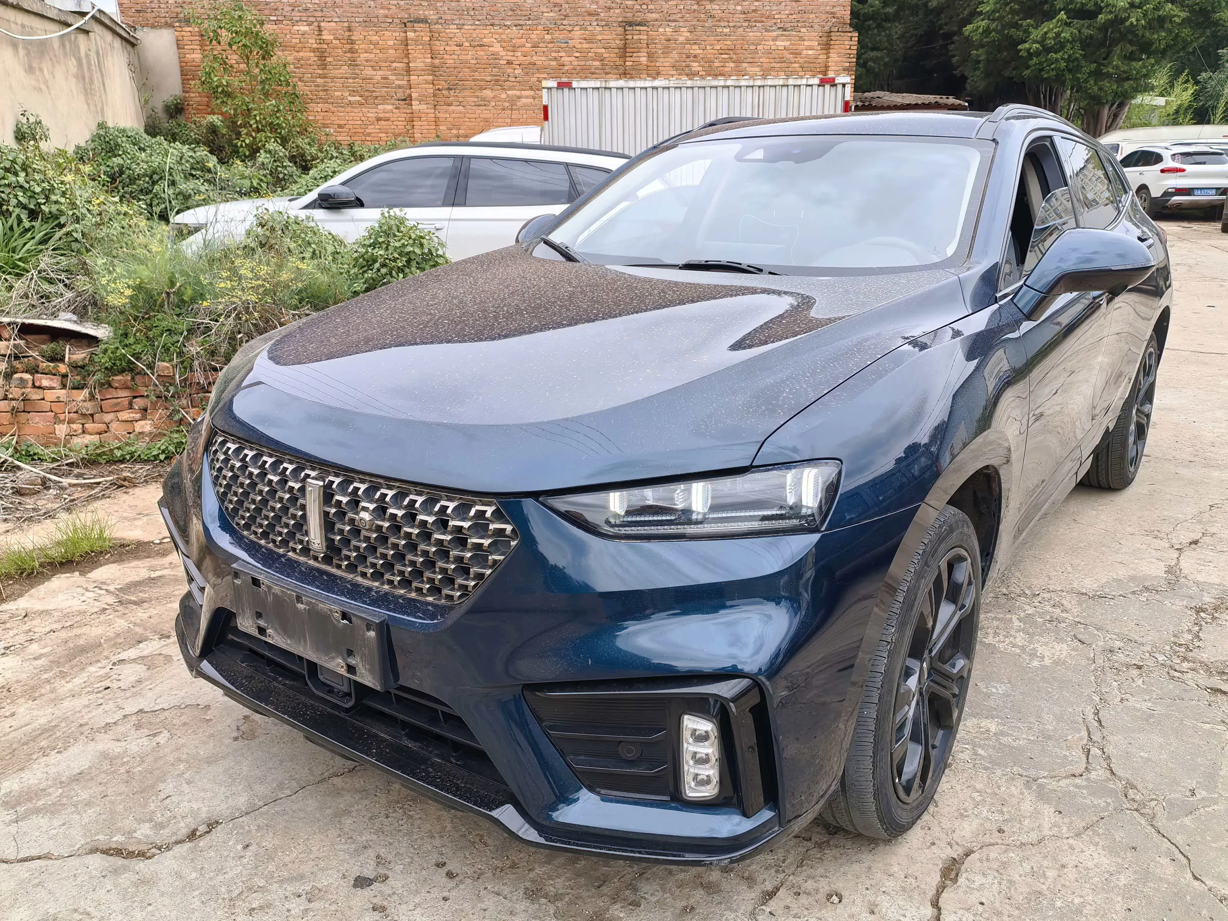 Wey Wei brand VV7