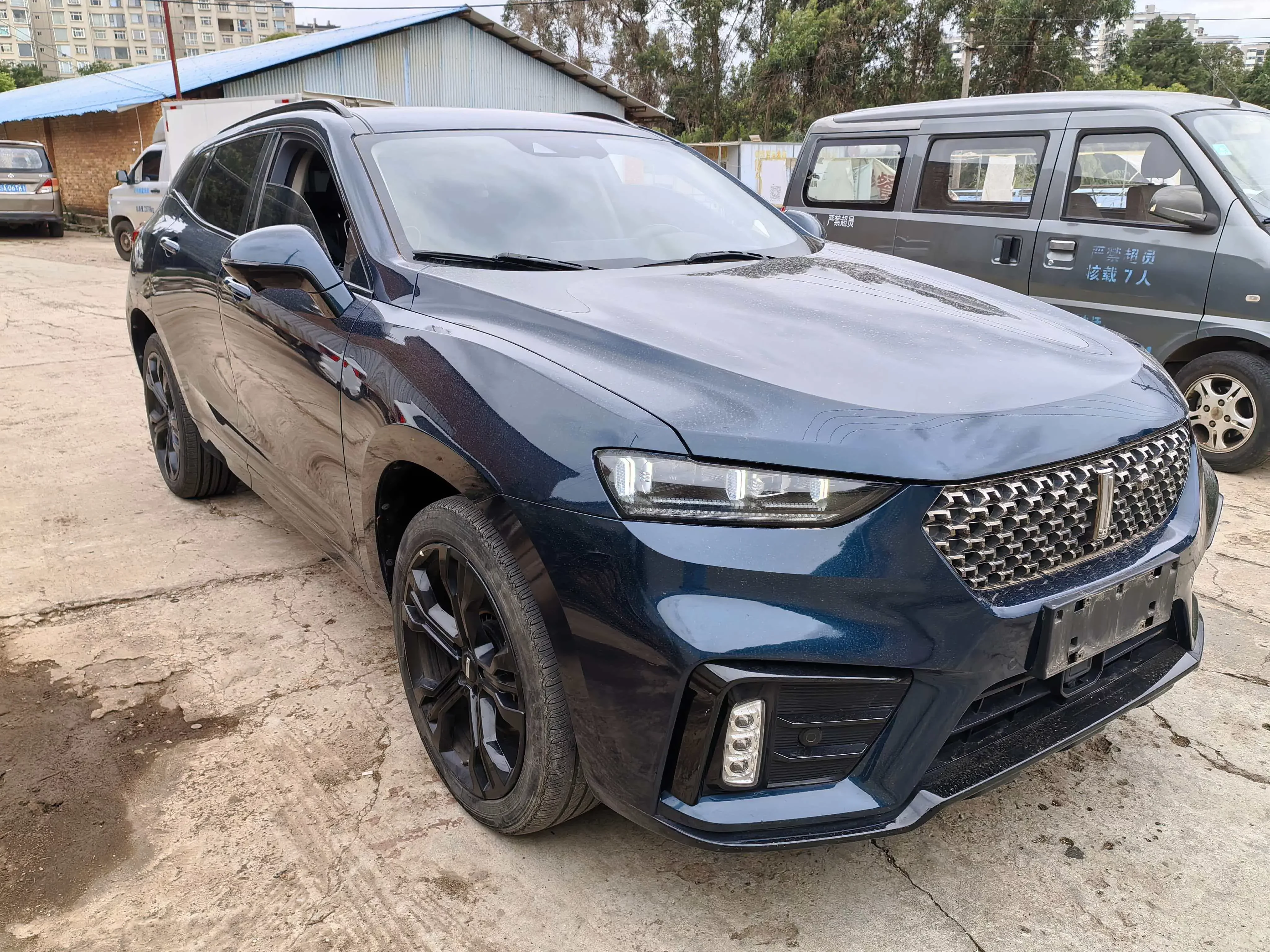 Wey Wei brand VV7