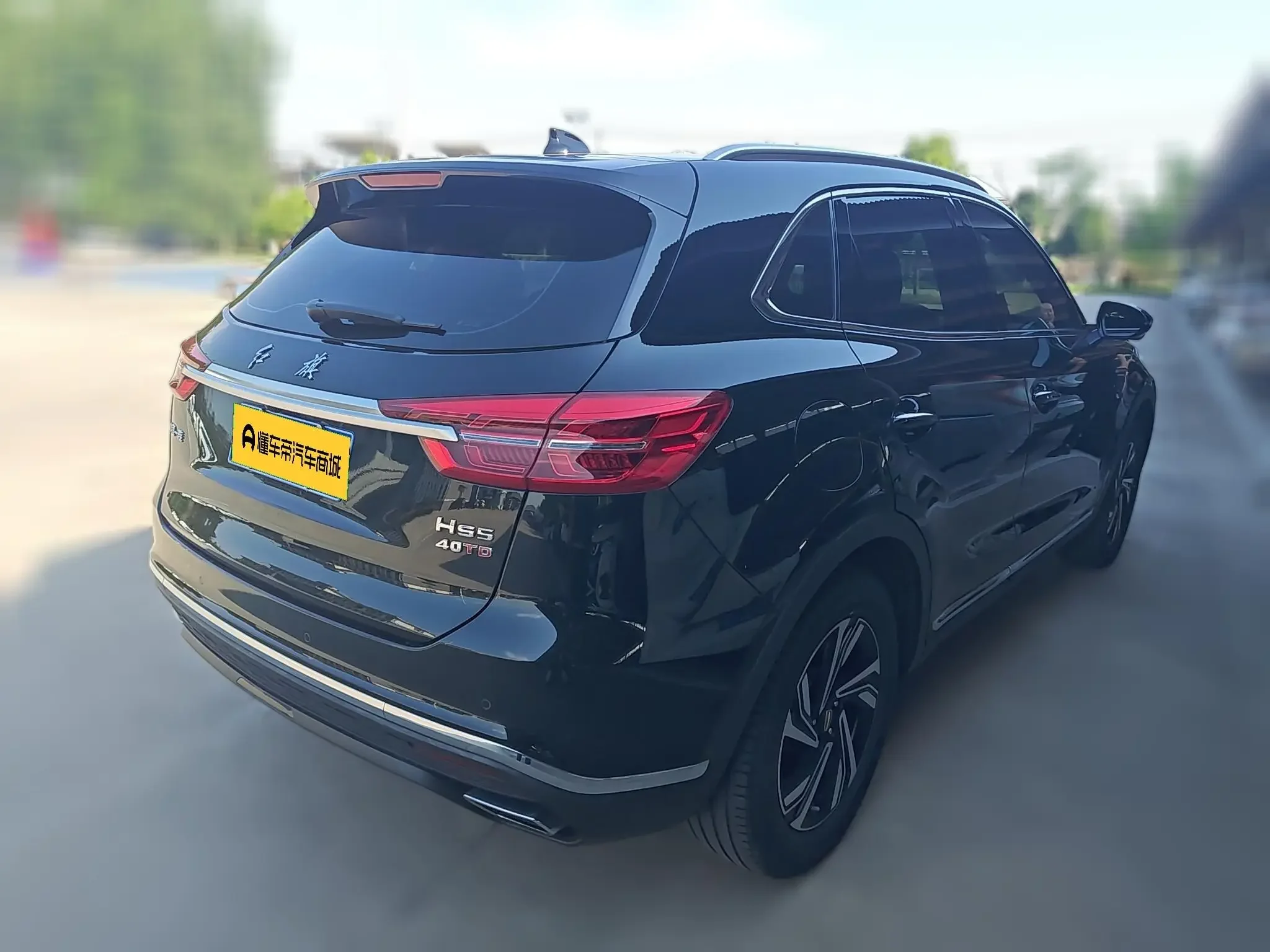 Hongqi HS5