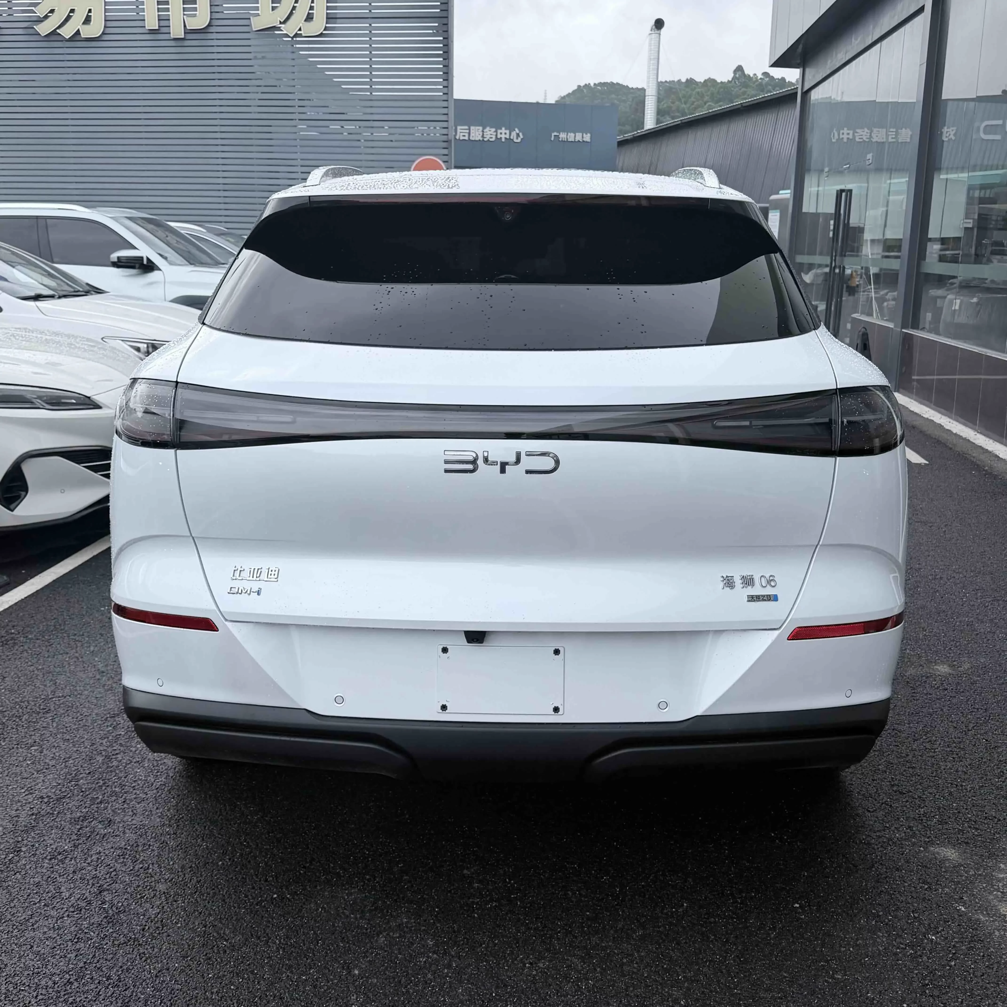 BYD Sea Lion 06DM