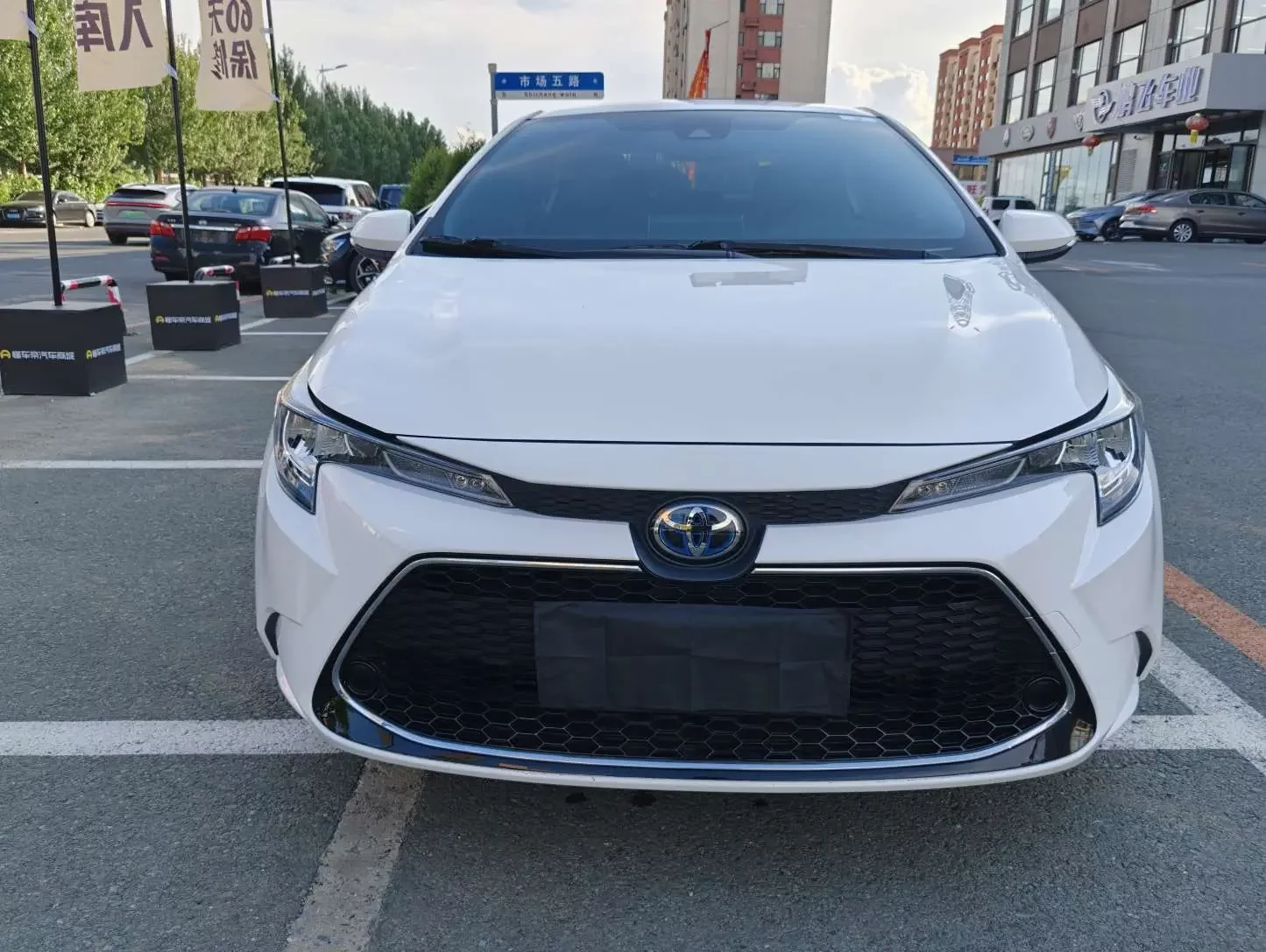Toyota Levin