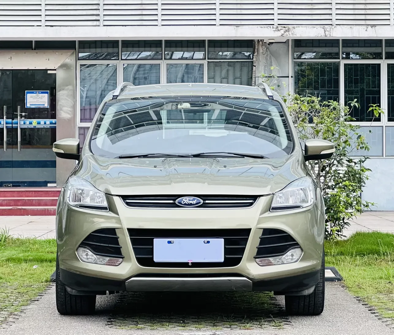 Ford wing tiger