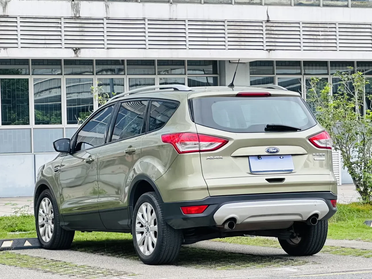 Ford wing tiger