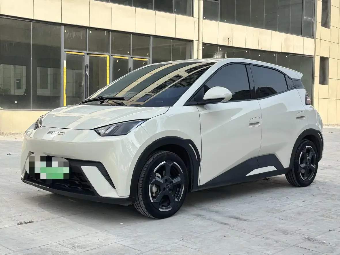BYD seagull