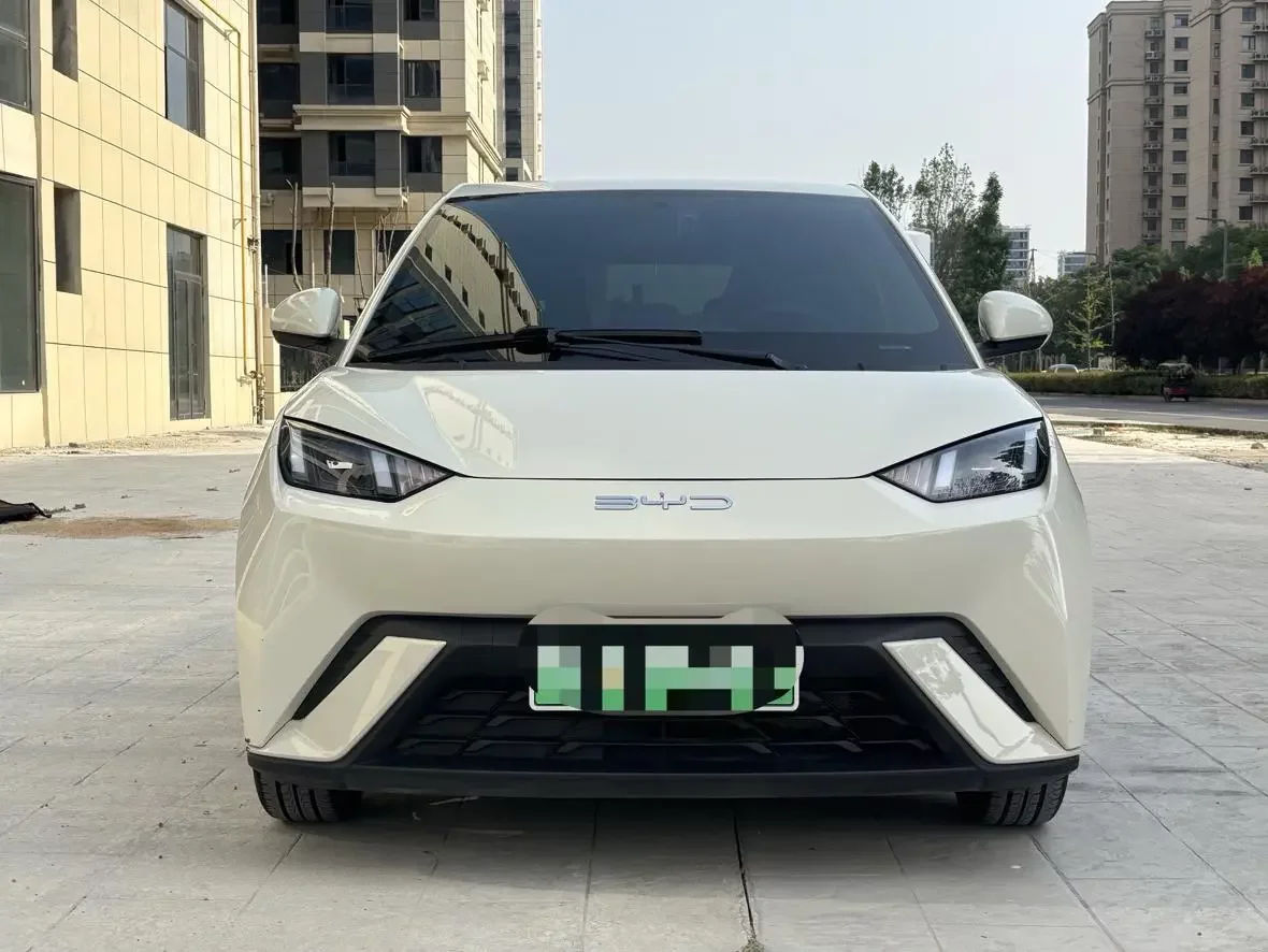 BYD seagull