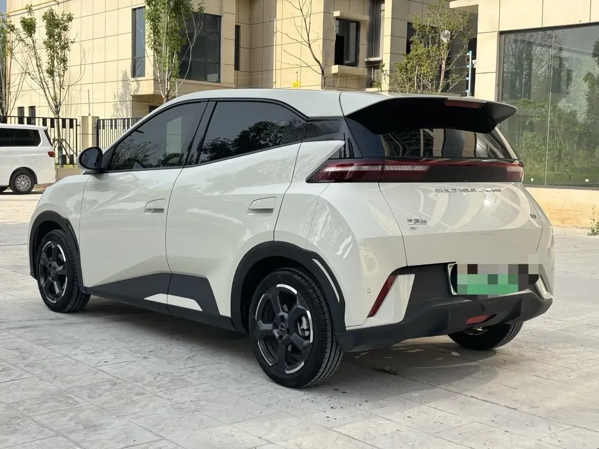BYD seagull