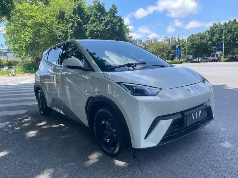 BYD seagull