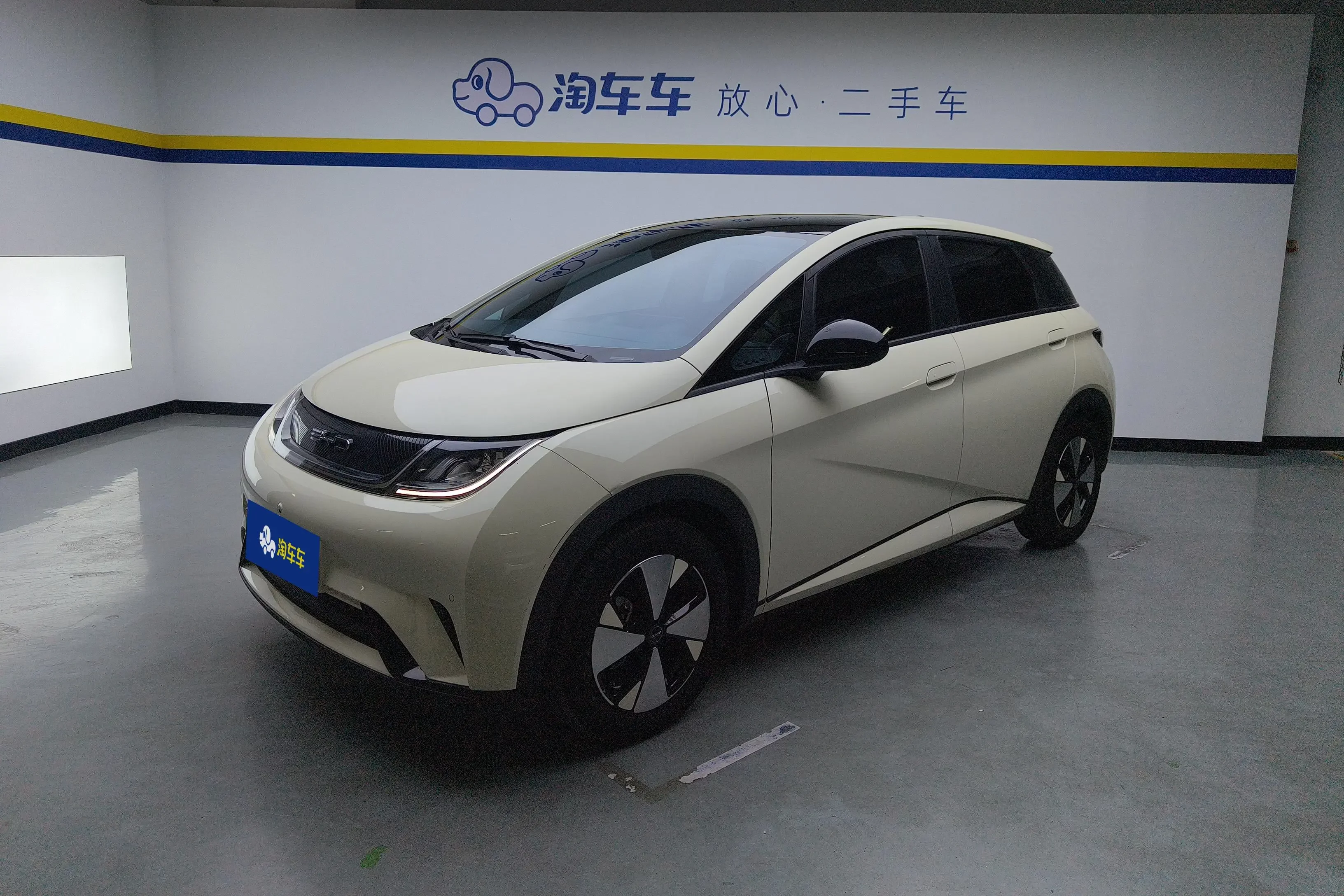 BYD dolphin