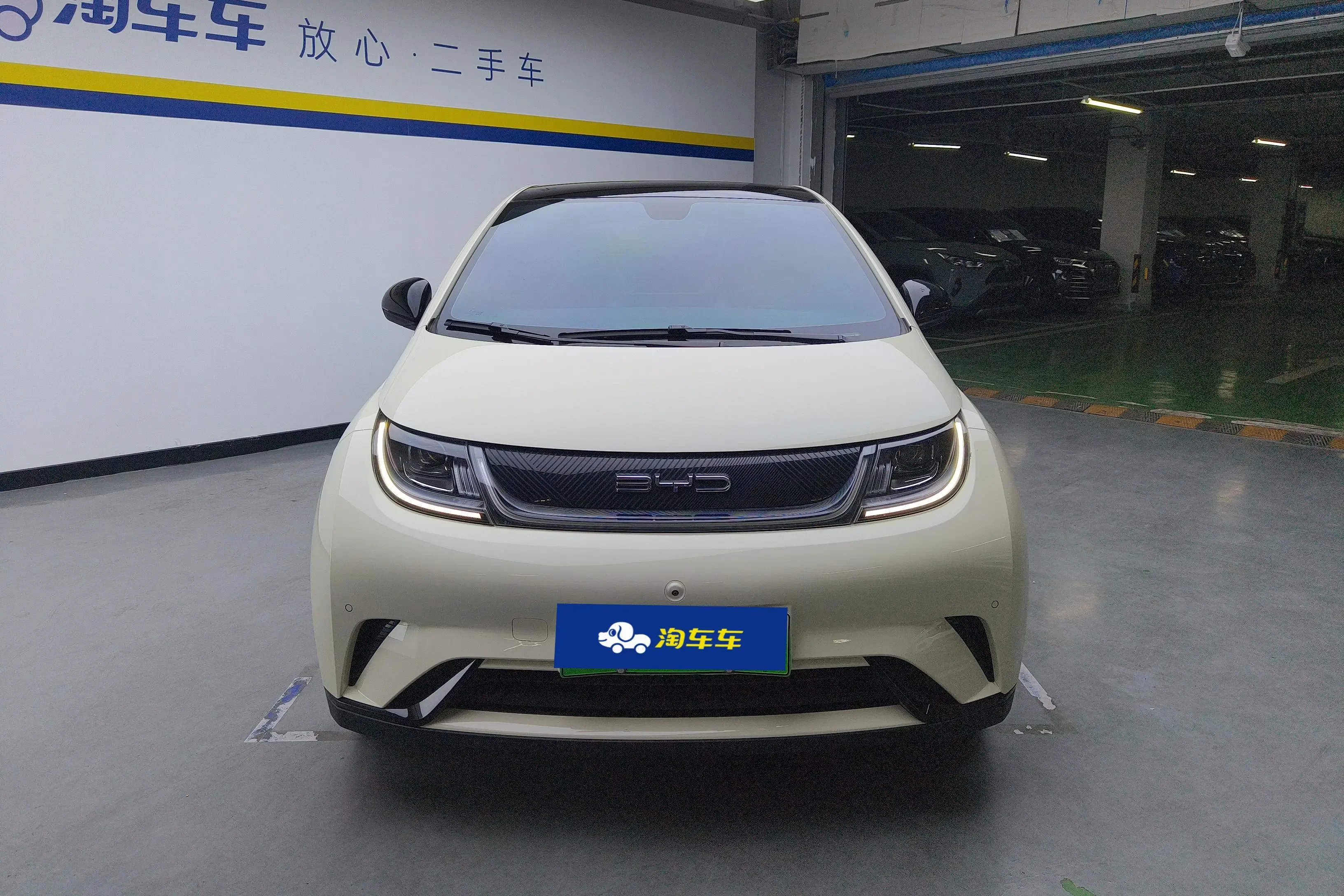 BYD dolphin