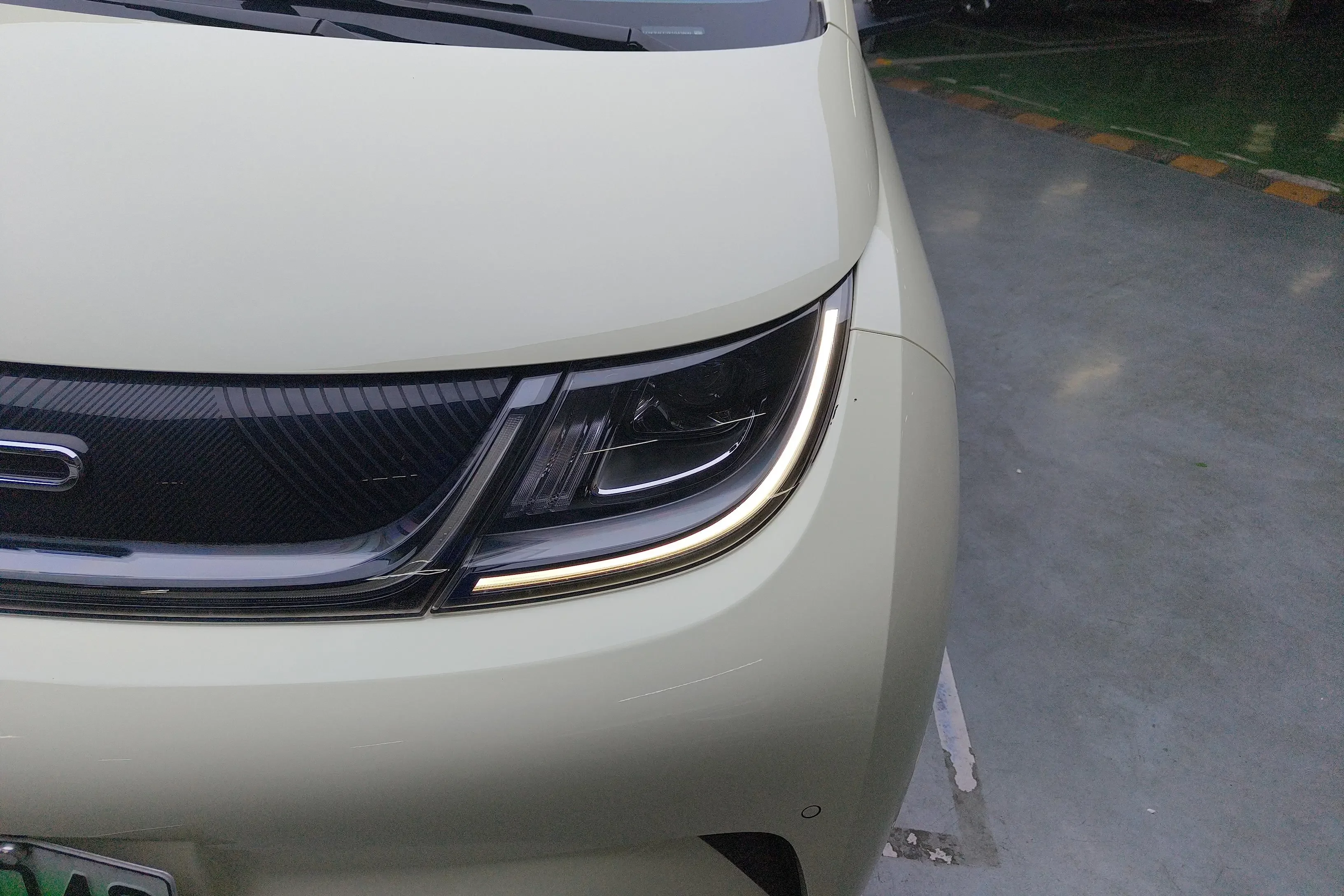 BYD dolphin