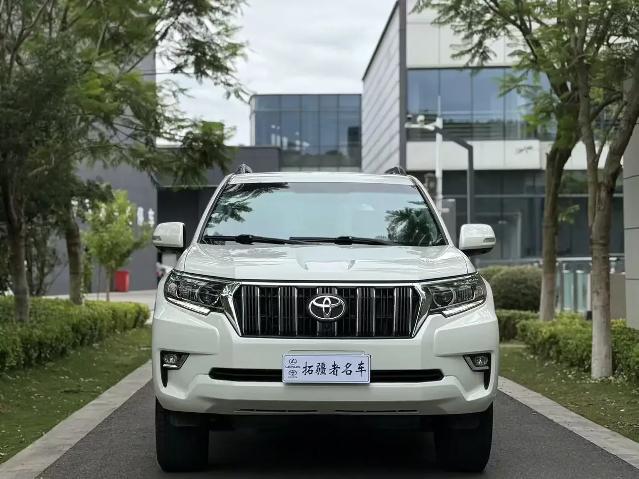 Toyota prado