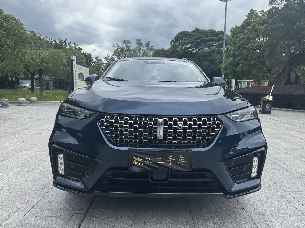 Wey Wei brand VV7