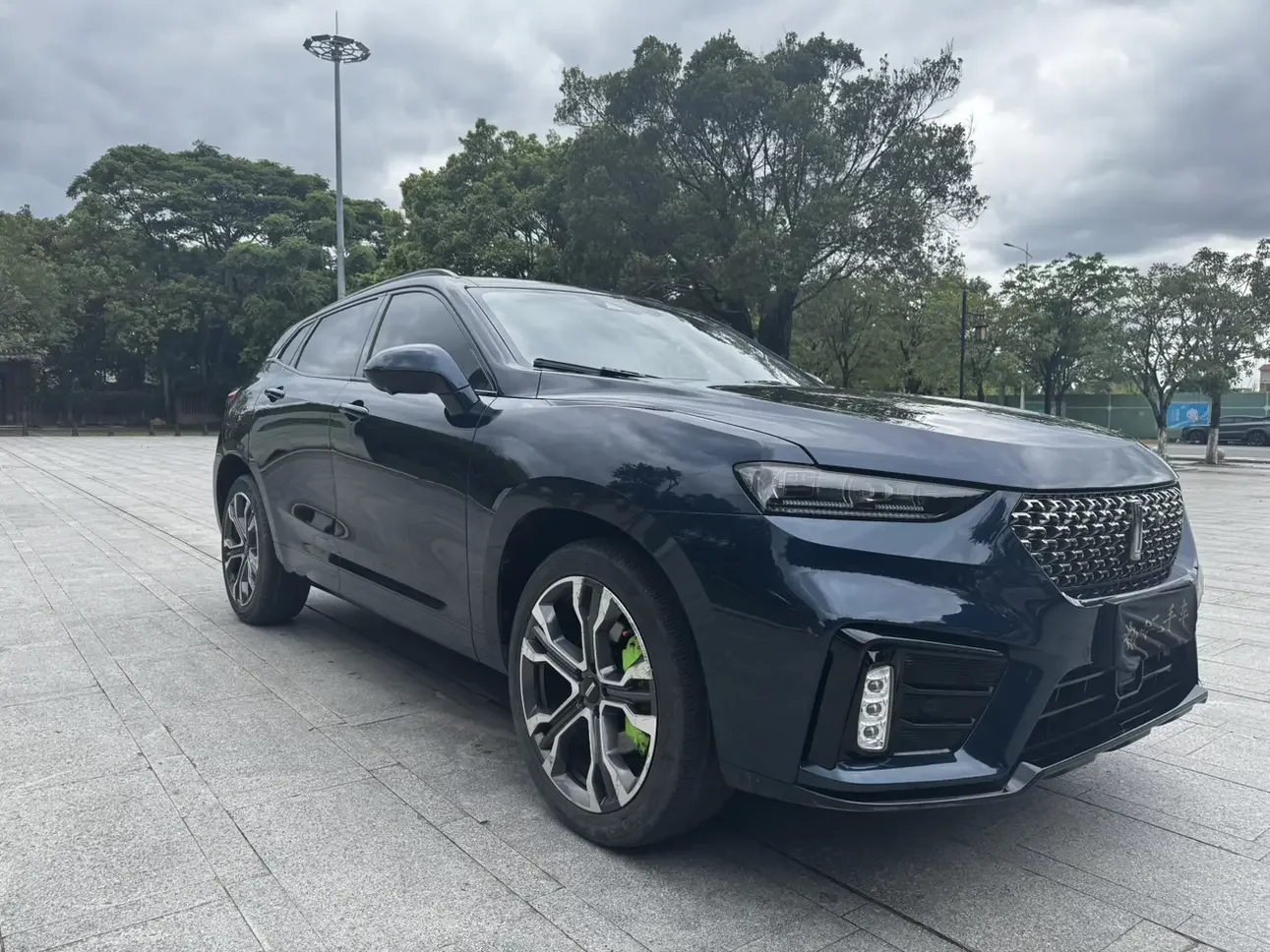 Wey Wei brand VV7