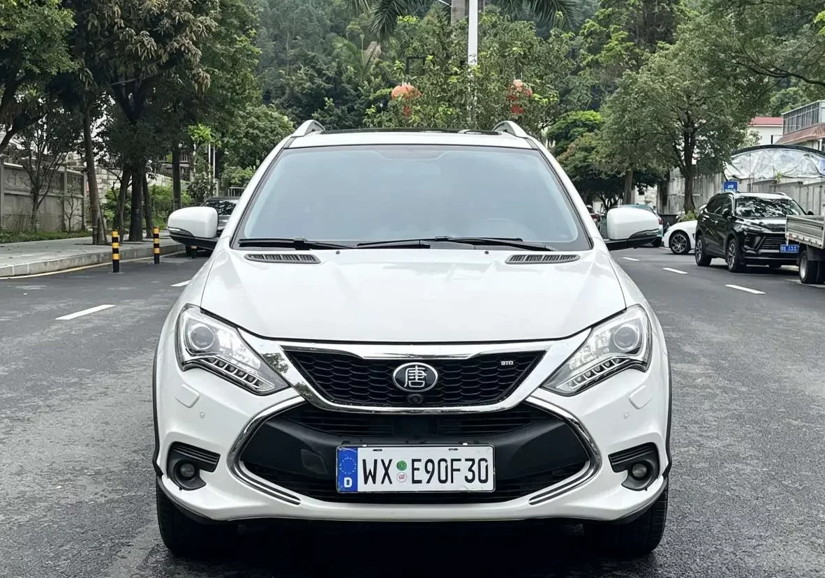 BYD Tang DM