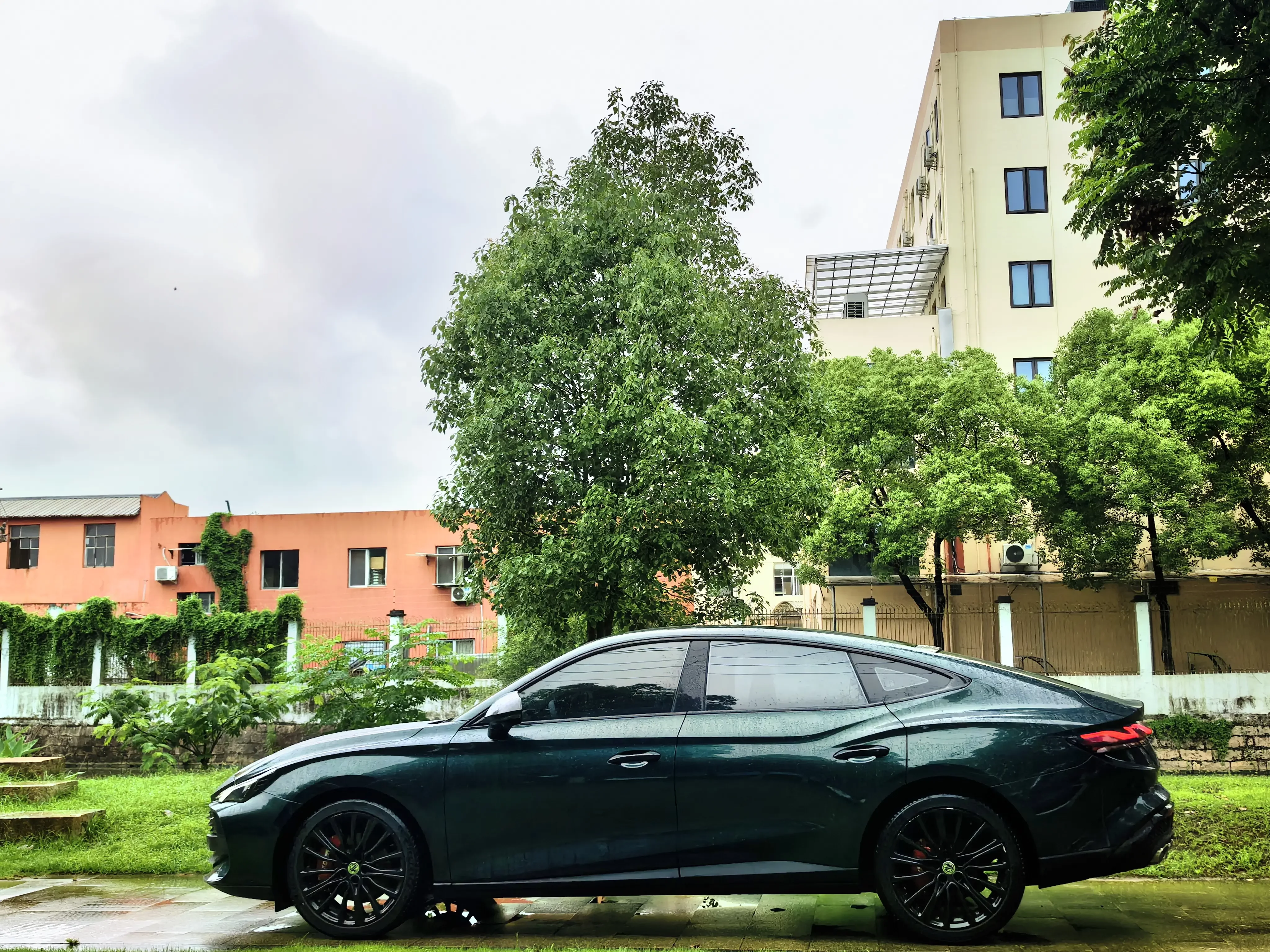 MG 7
